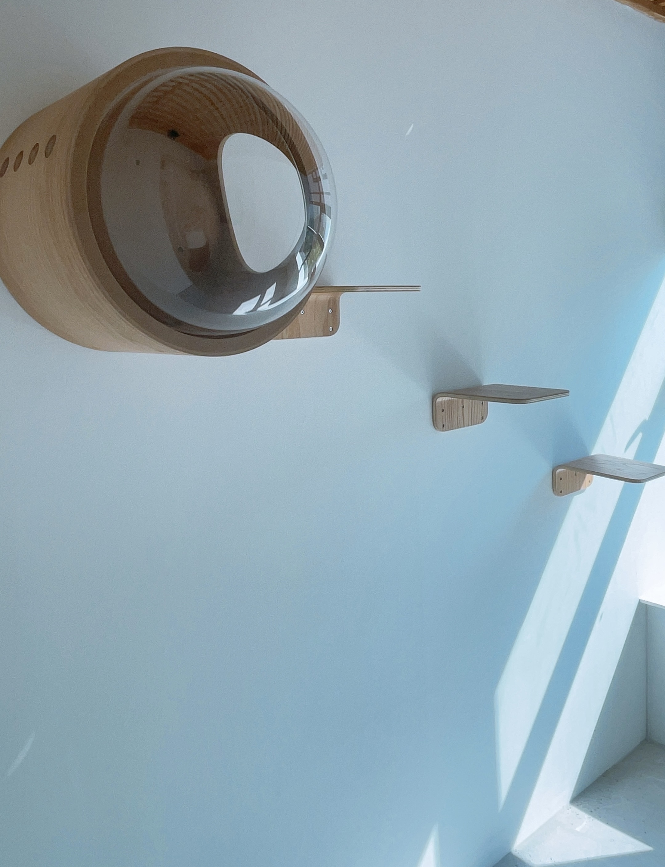 오냥오냥 대표 이미지