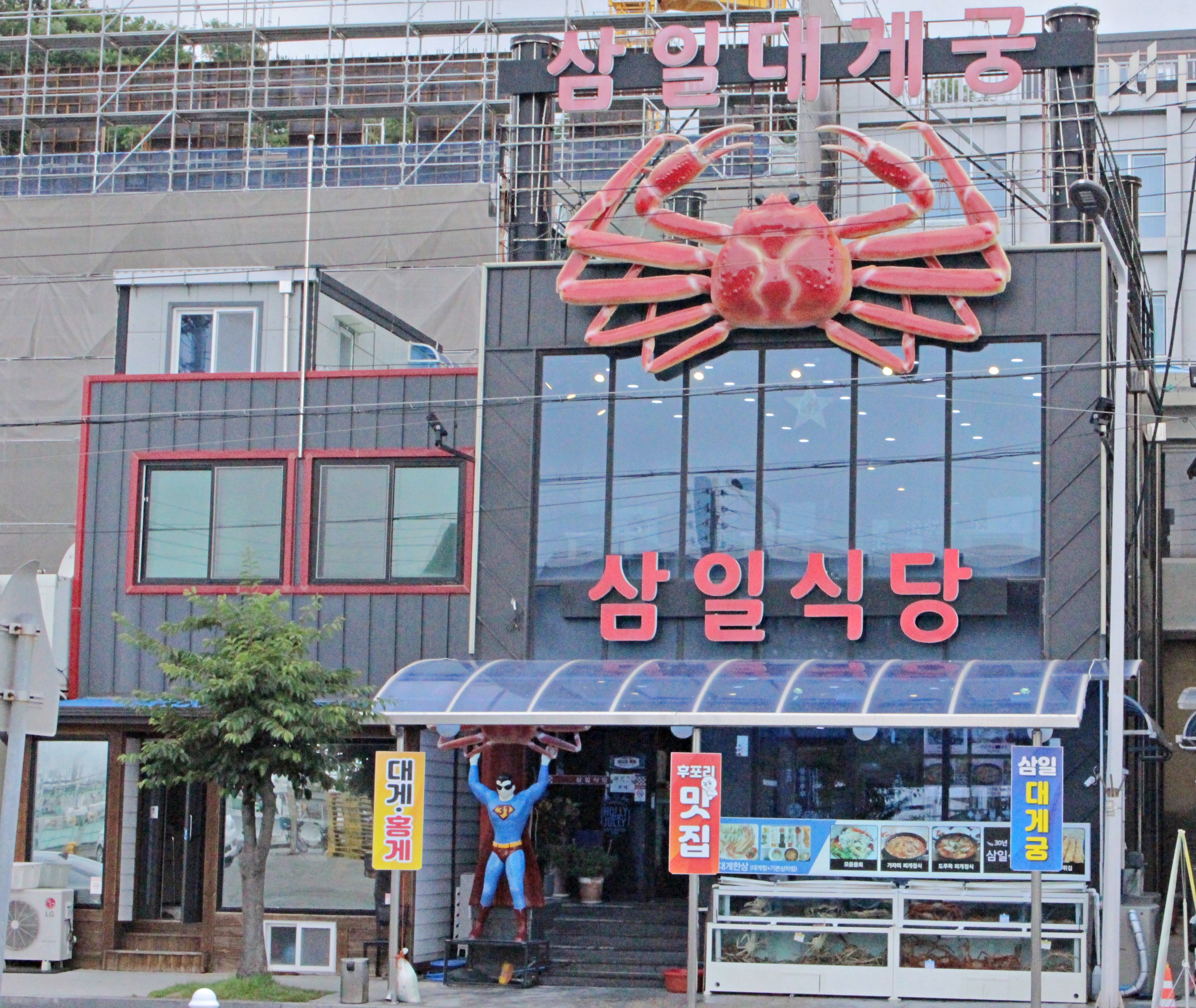 삼일식당