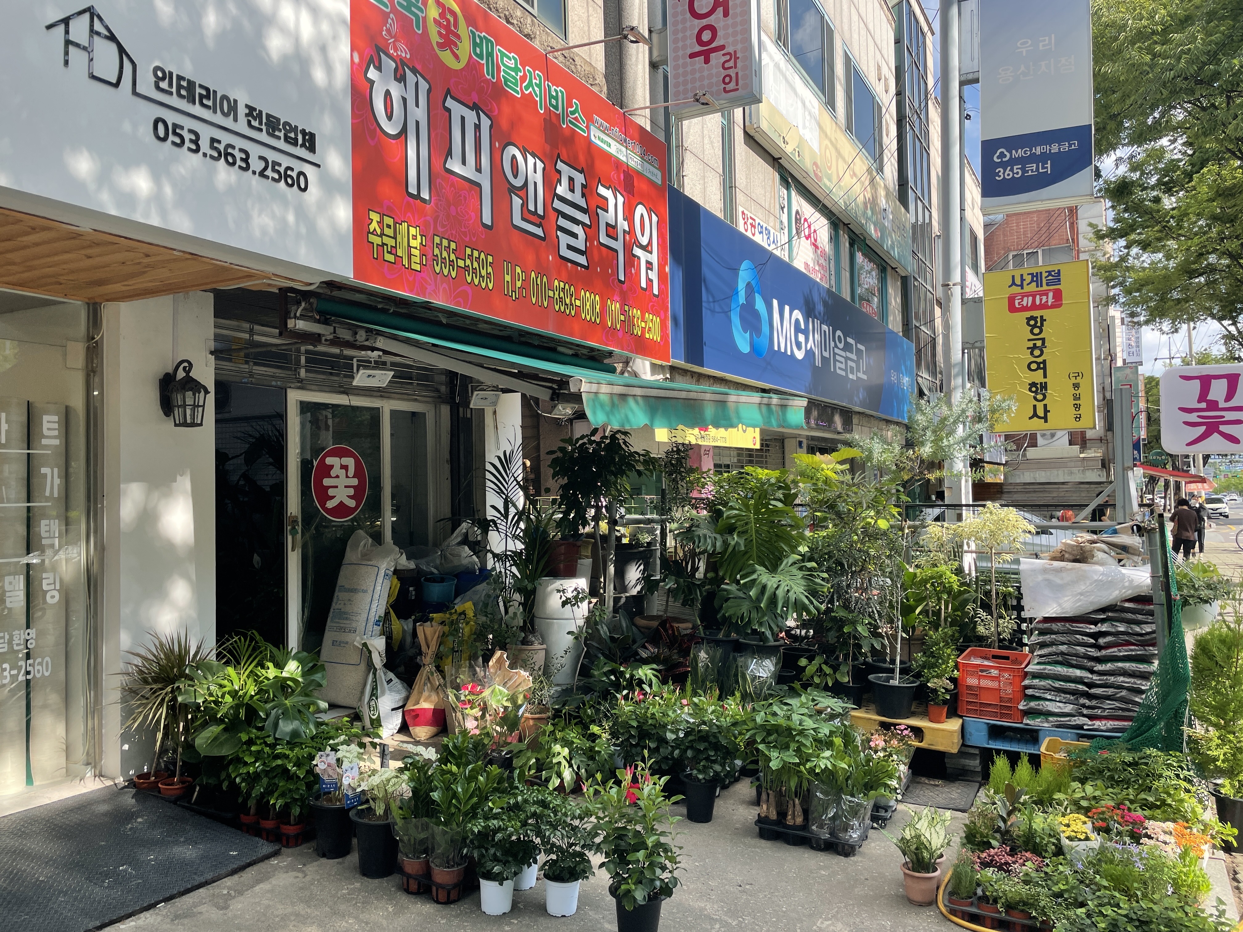 해피앤플라워