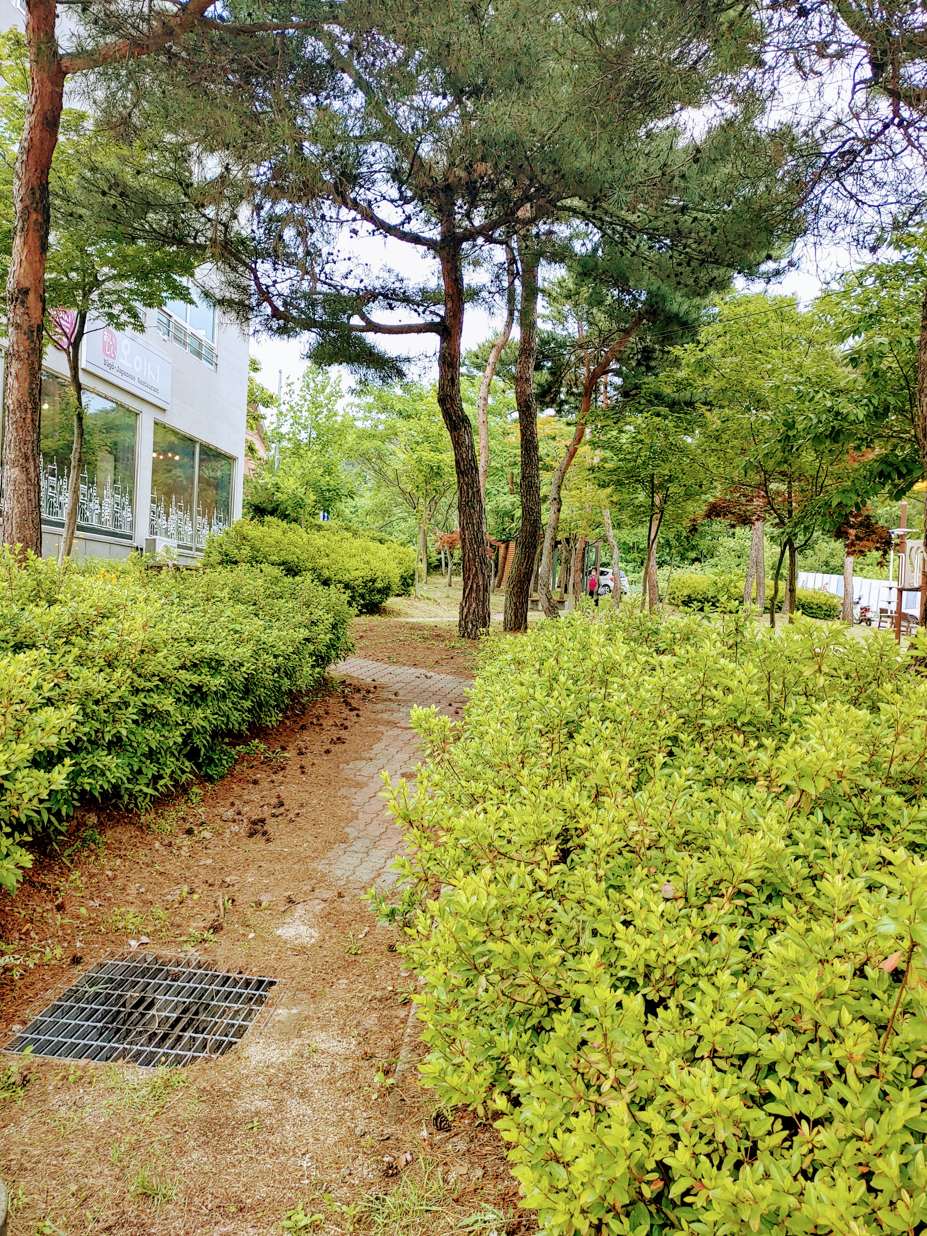 업체사진