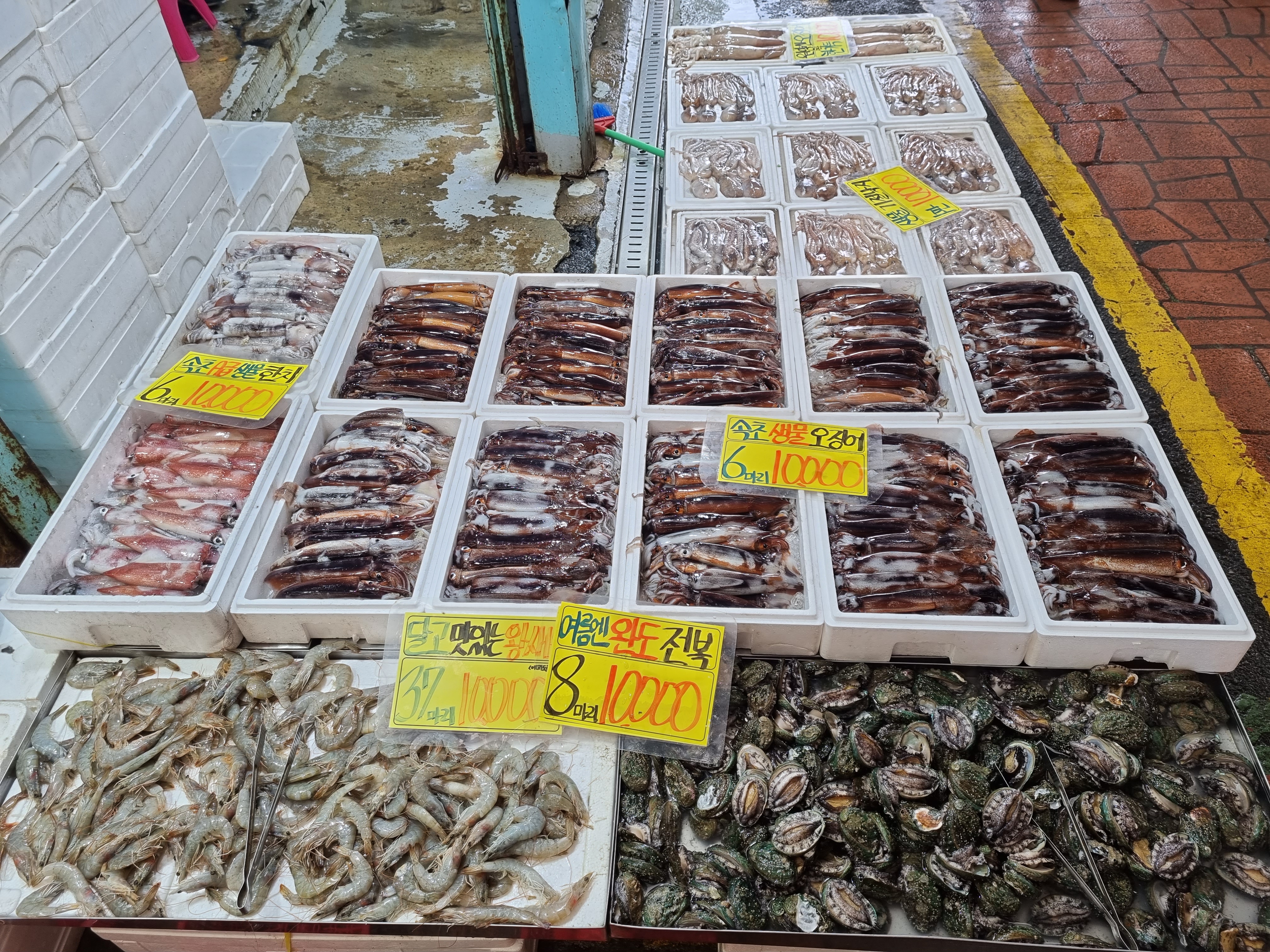 기백수산