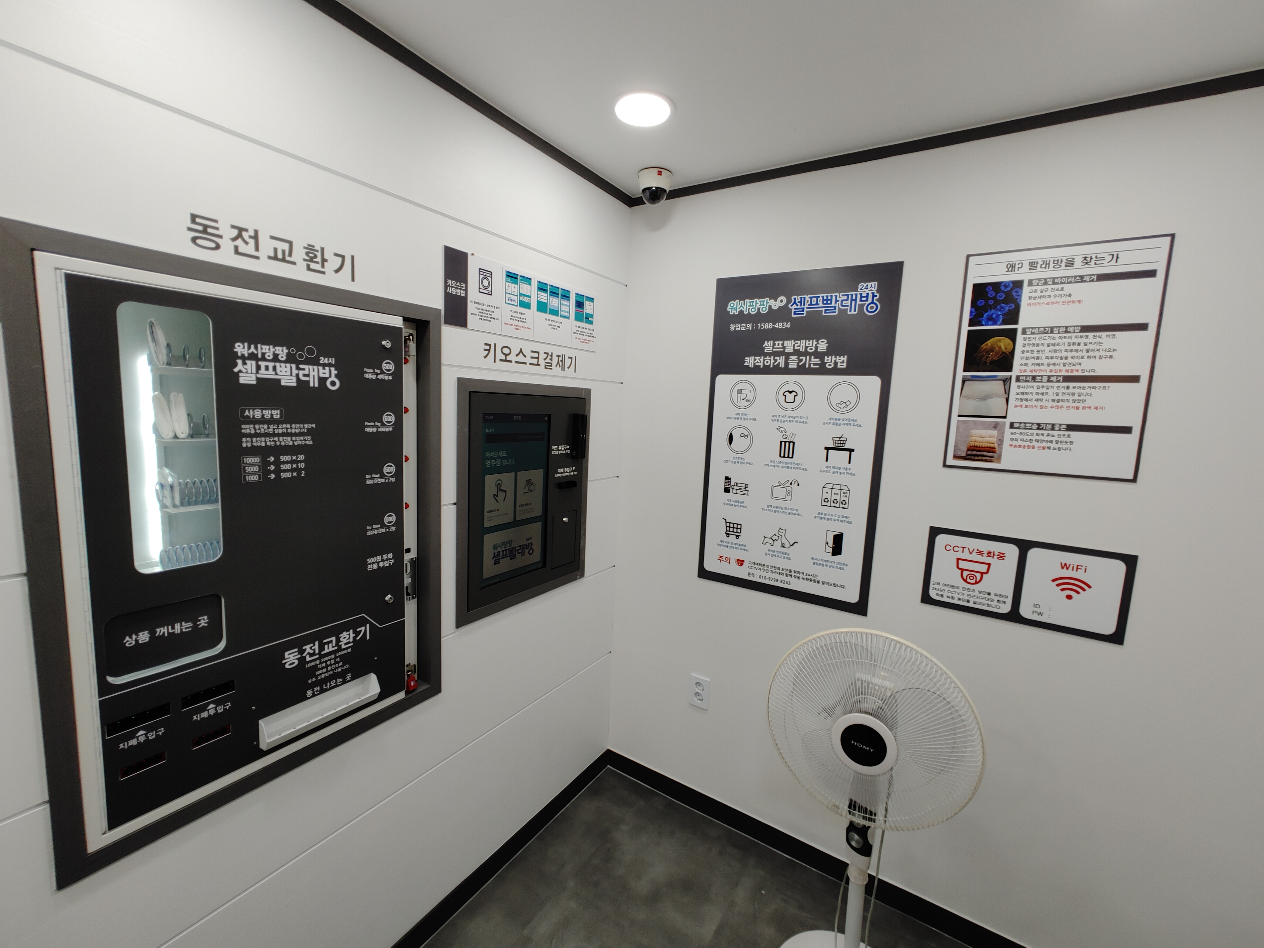 워시팡팡