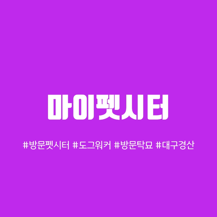 마이펫시터 대표 이미지