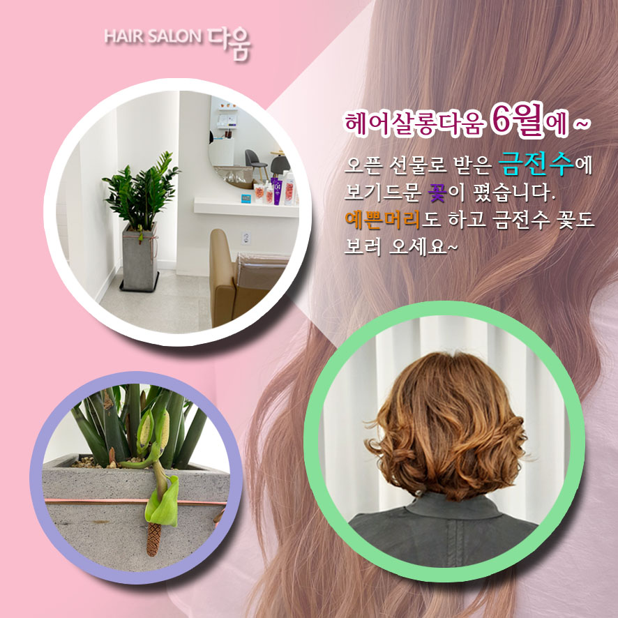 헤어살롱다움