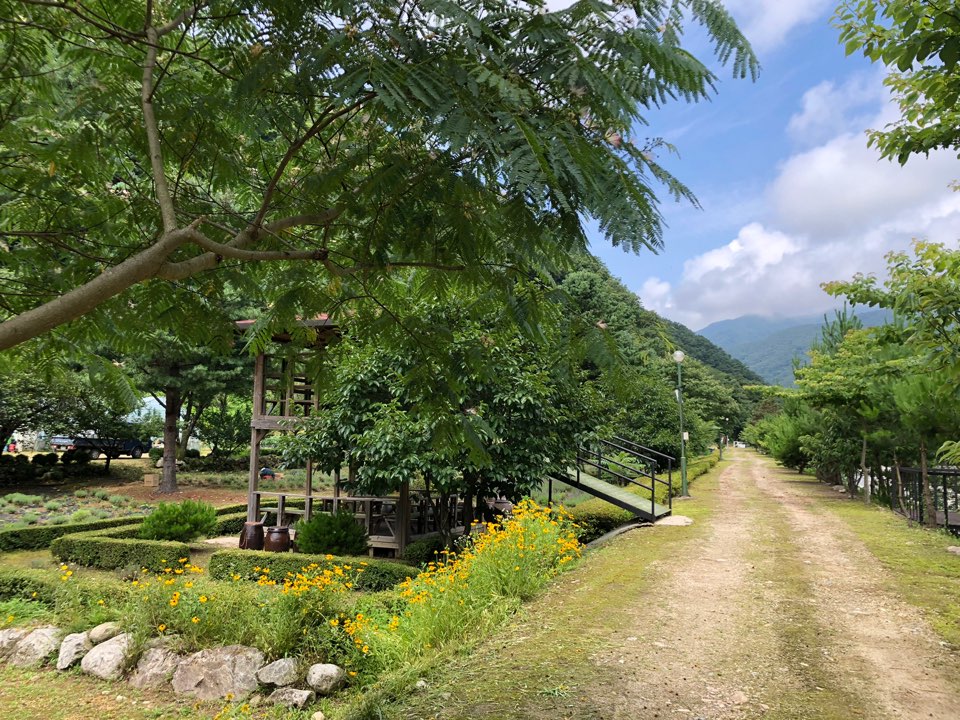 오색허브농원 캠핑장