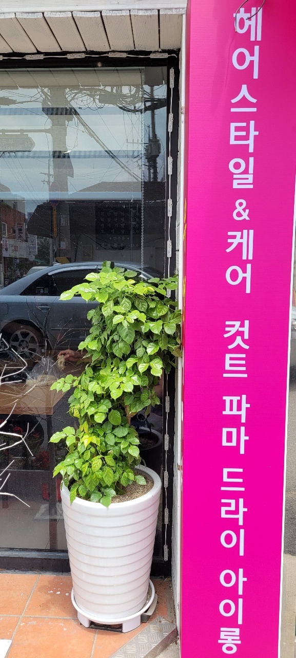 우성헤어센스샵