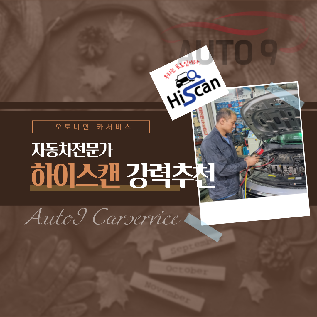 오토나인 카서비스