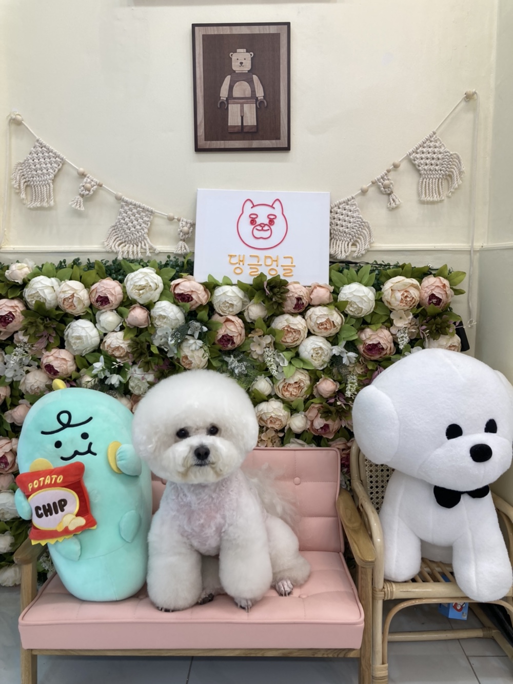 댕글멍글 애견미용실 대표 이미지