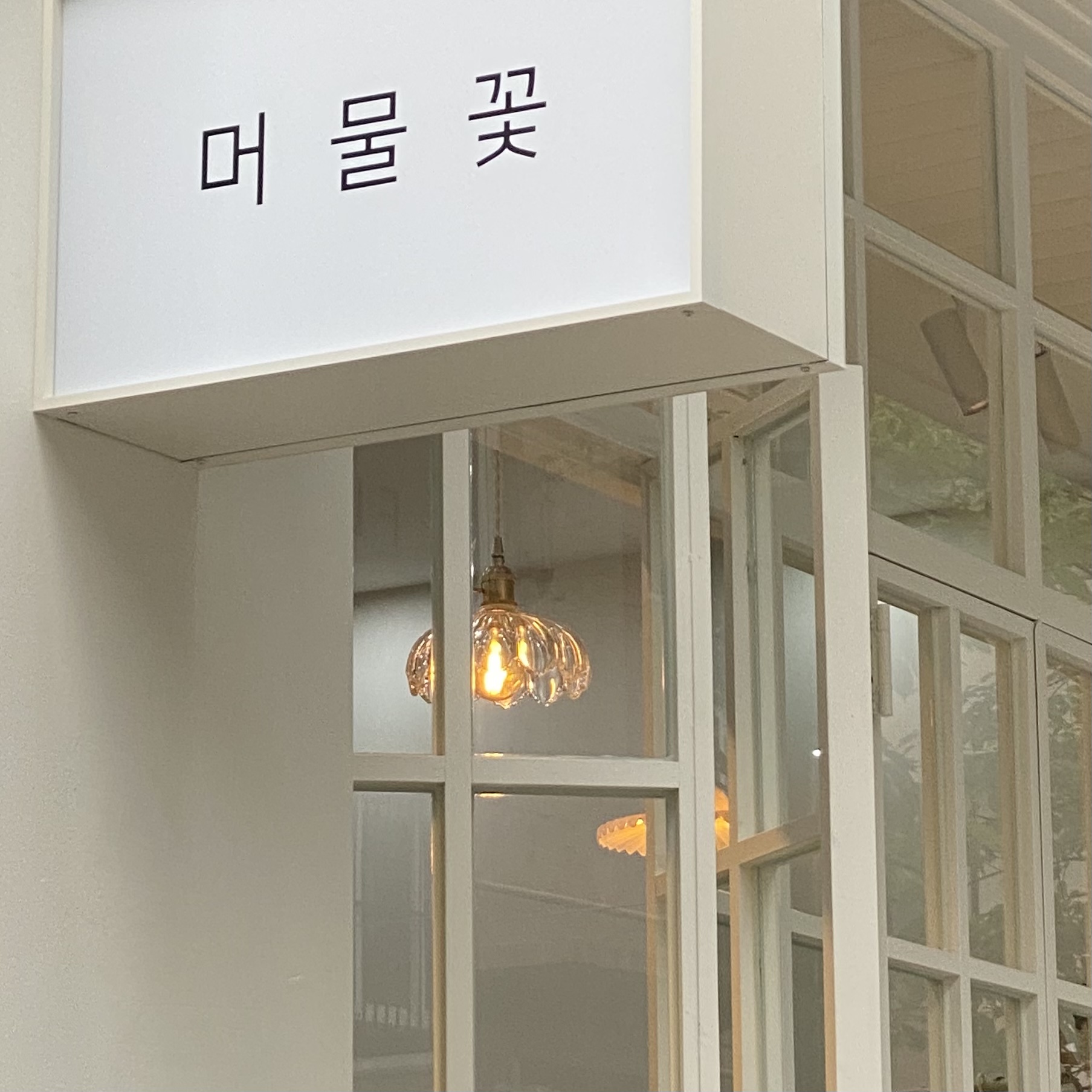머물꽃