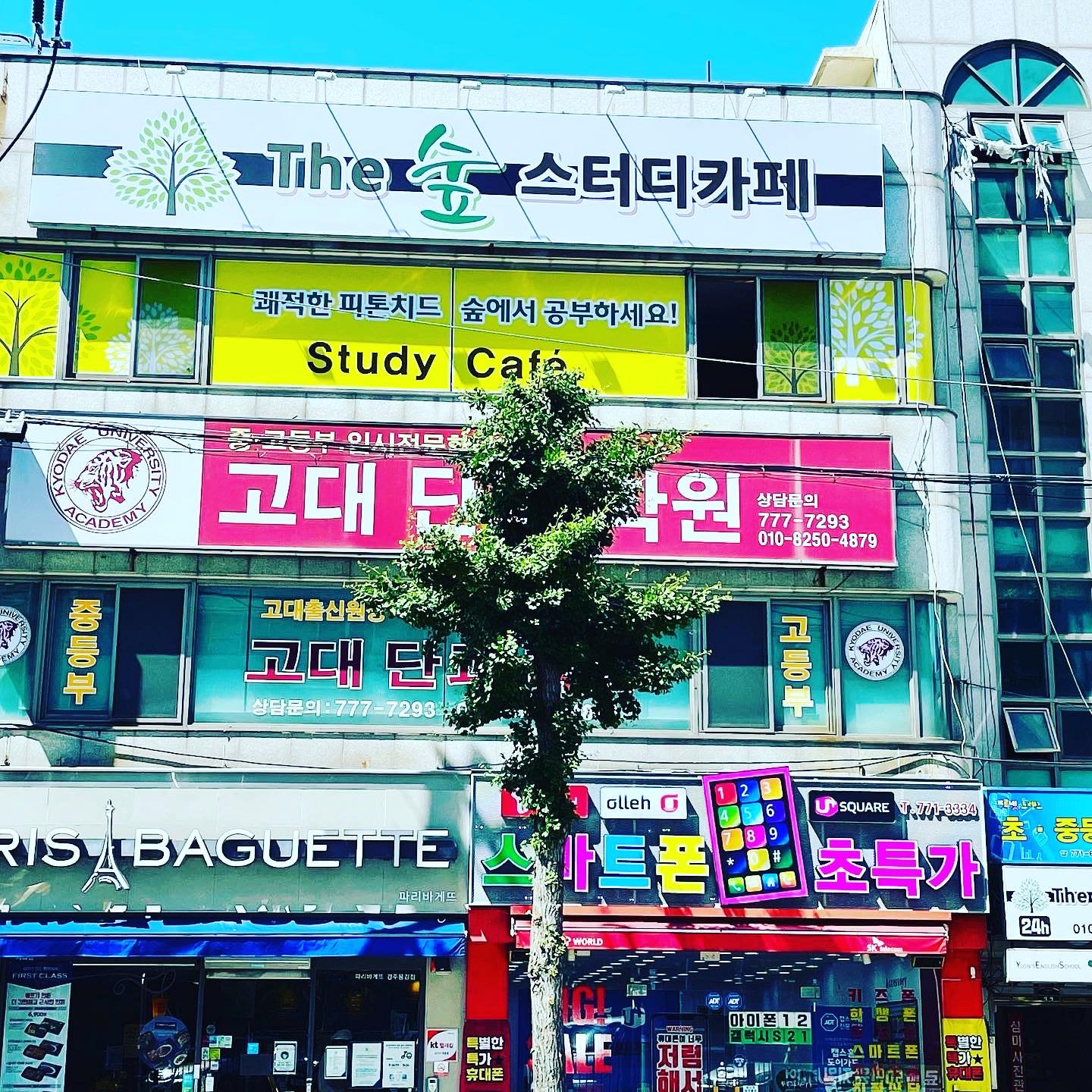 더숲스터디카페