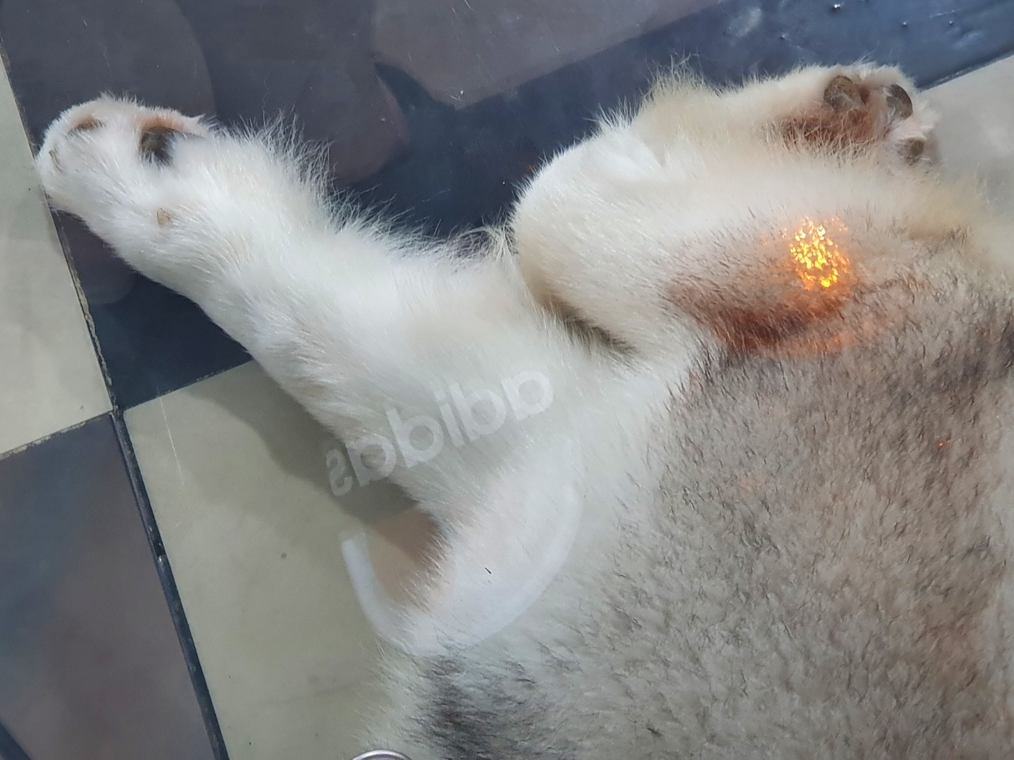 이미지