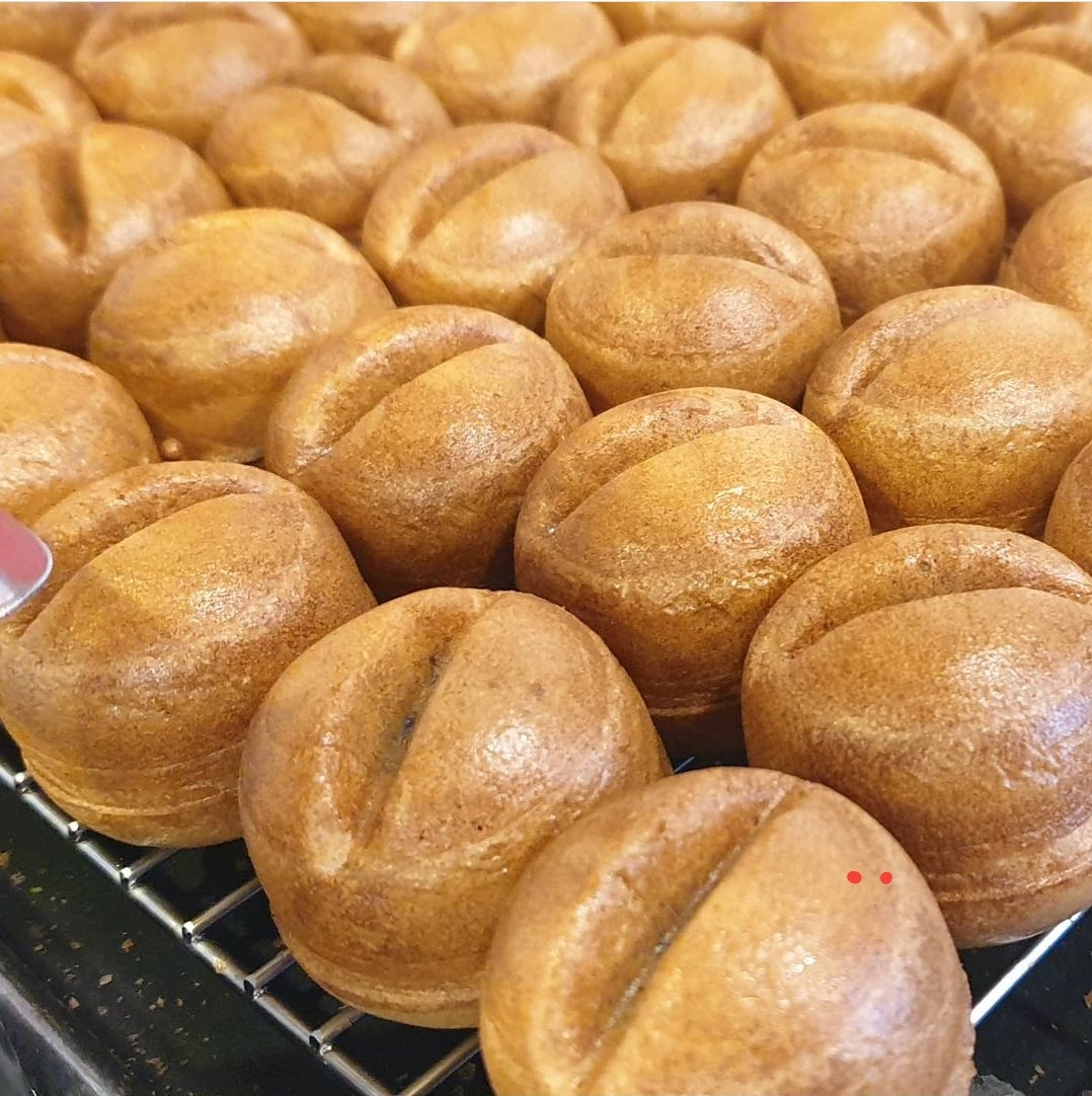 강릉커피콩빵 강릉당 안목해변점