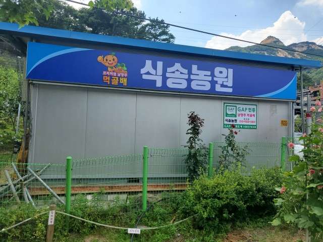식송농원