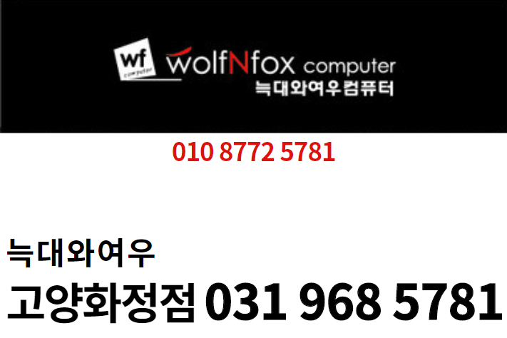 늑대와여우컴퓨터화정점