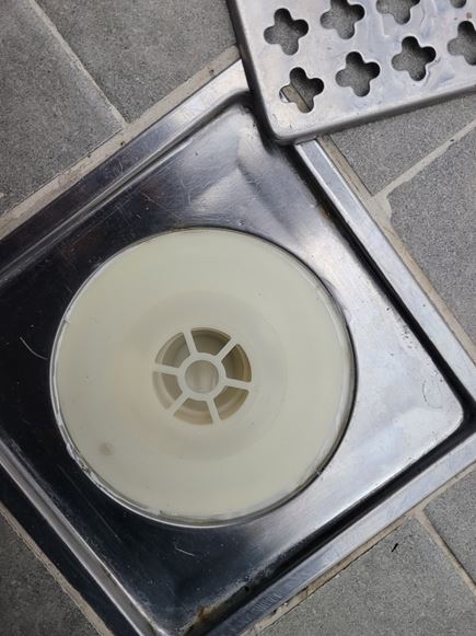 크린대장 대표 이미지