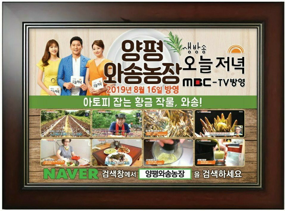 와송농장