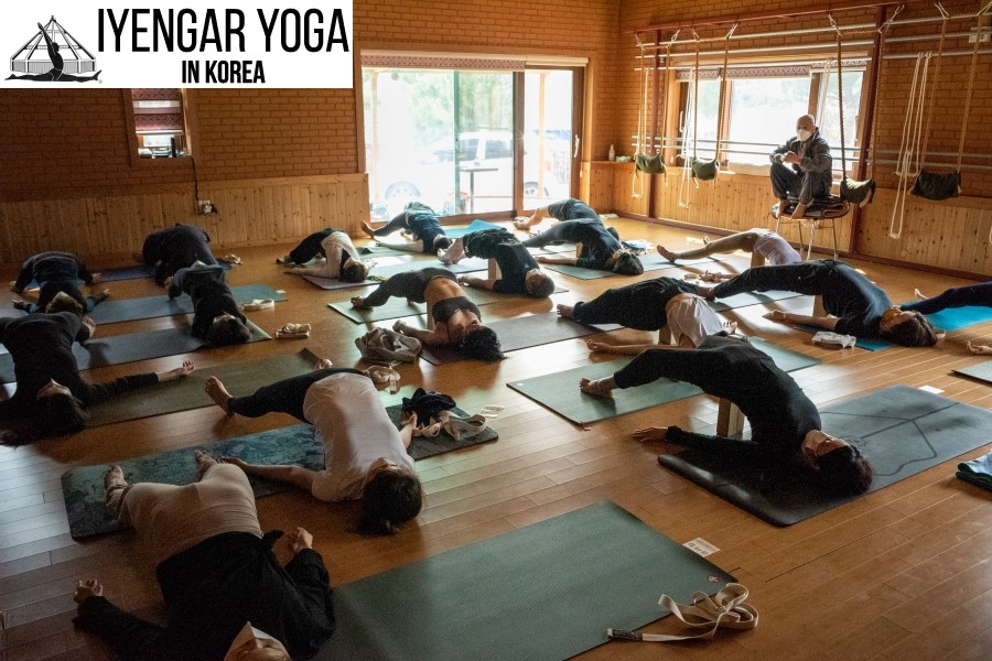 아헹가요가 파주 대표 이미지