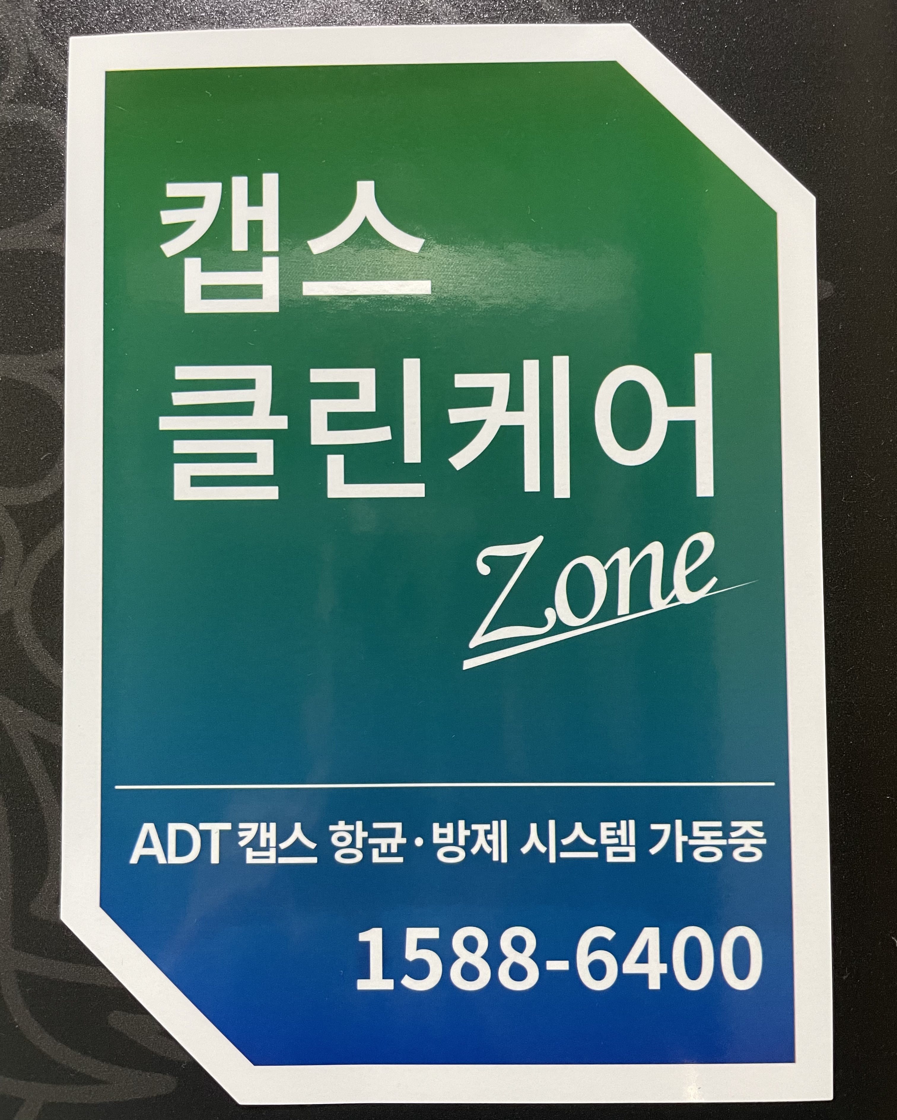 골든타이 photo 5