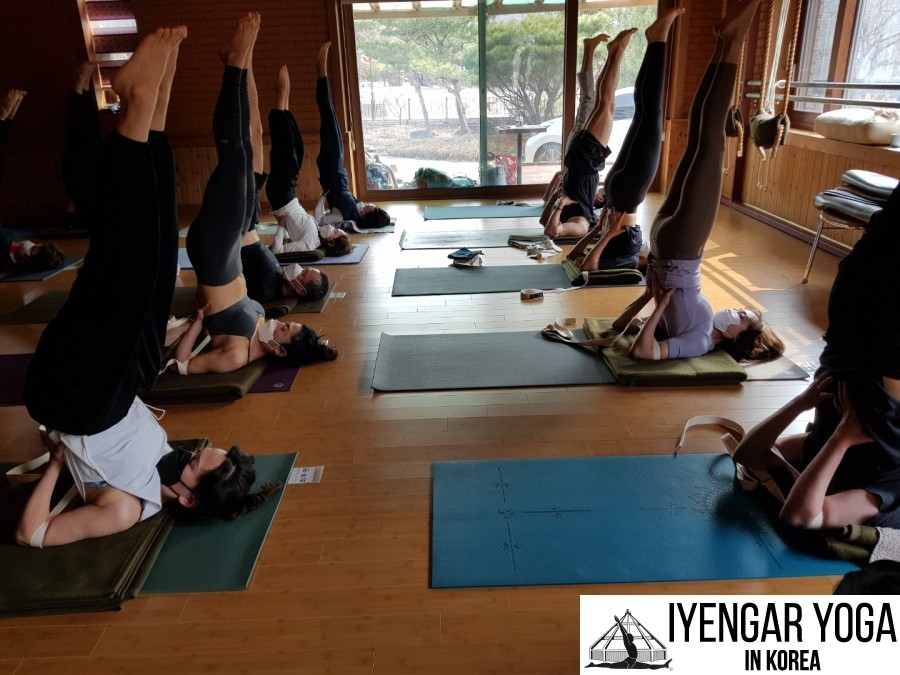 아헹가요가 (파주) 대표 이미지