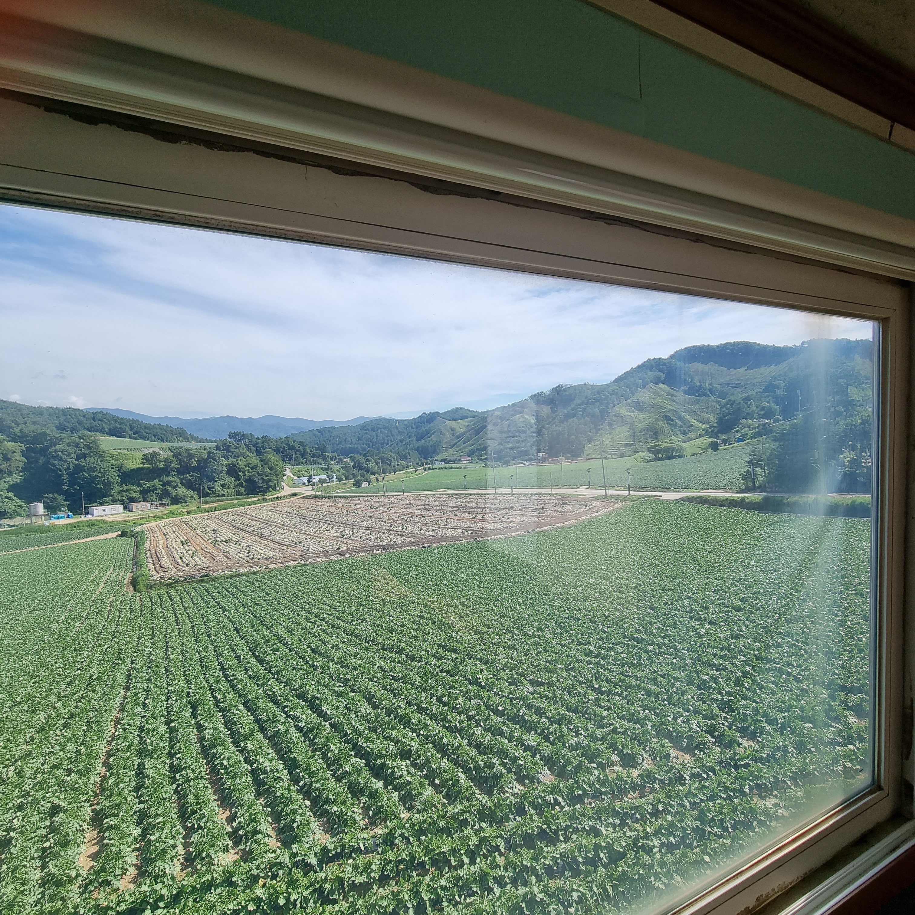 백복령쉼터1호 정희네 대표 이미지