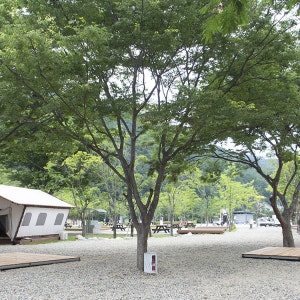 불영계곡 캠핑장