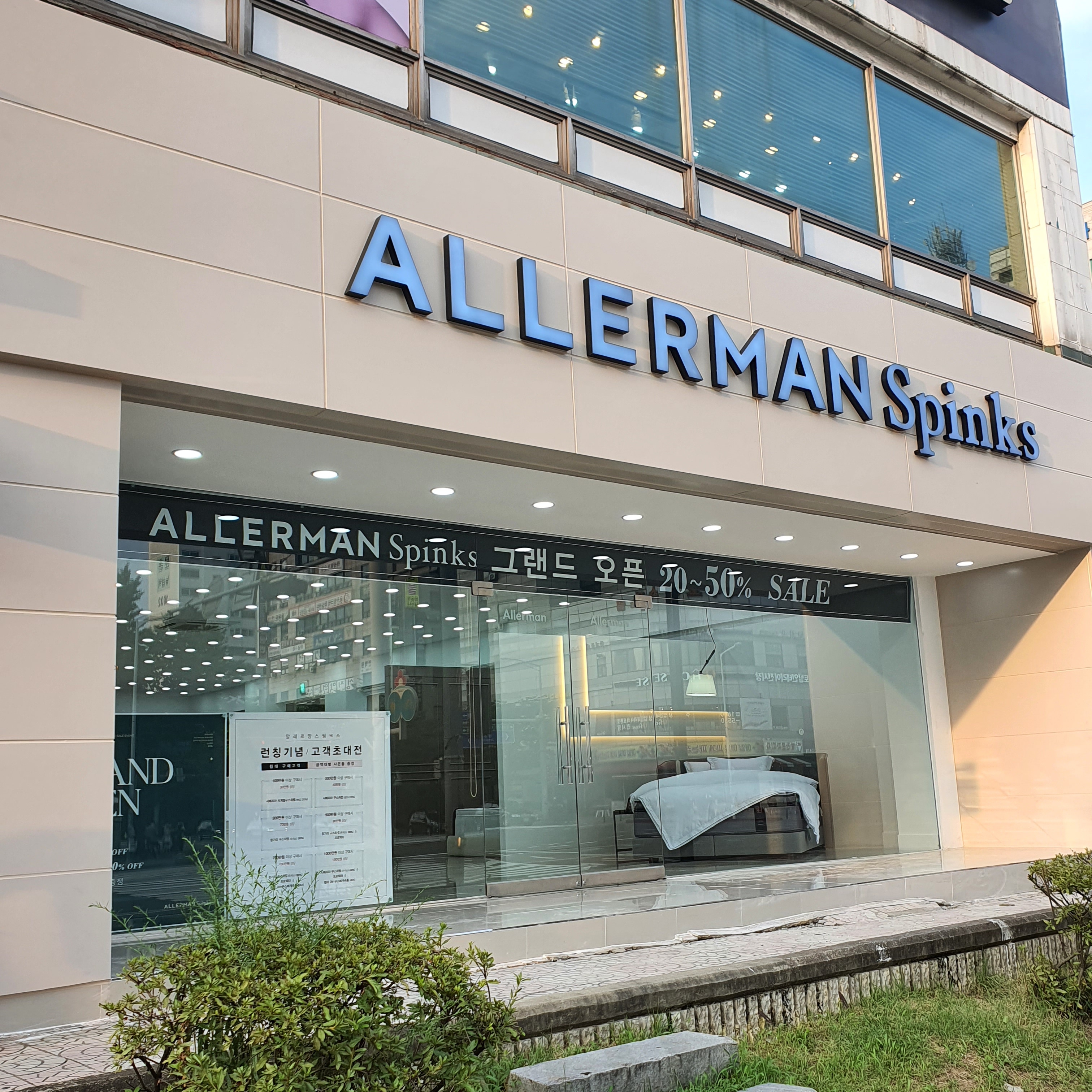 알레르망 스핑크스 일산주엽점