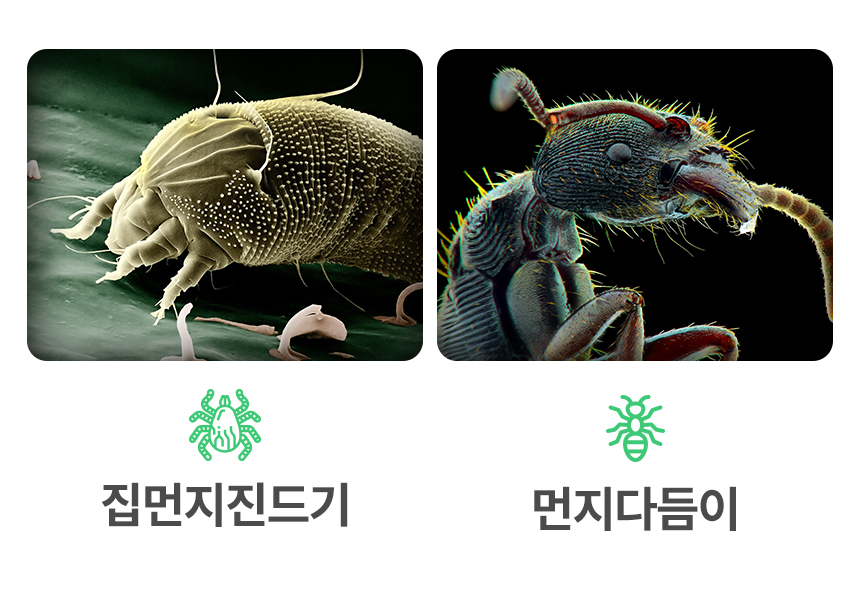 제이엔에이치메디컬