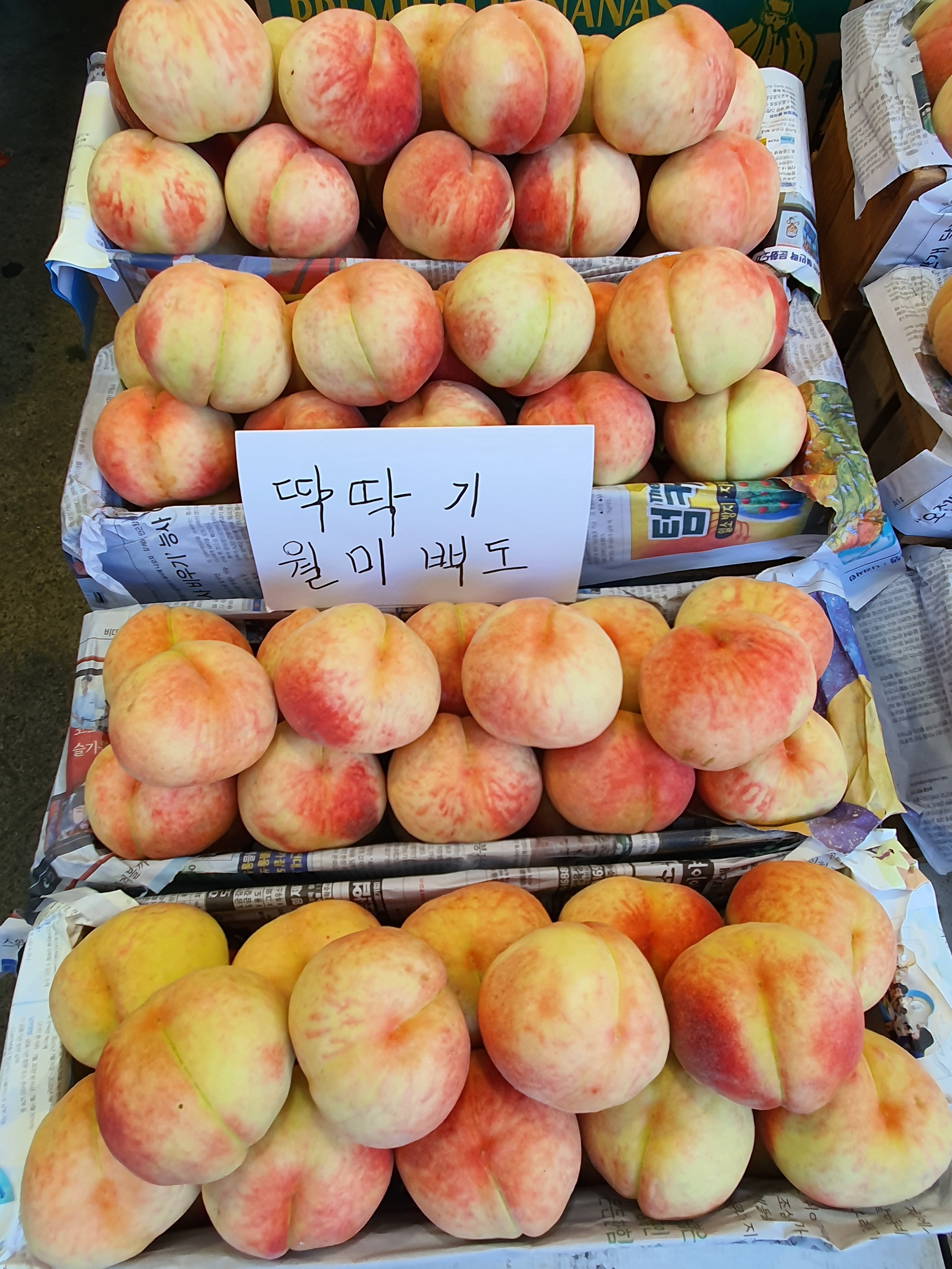 은영과일