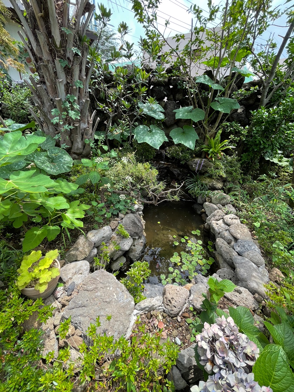 위미쉼팡