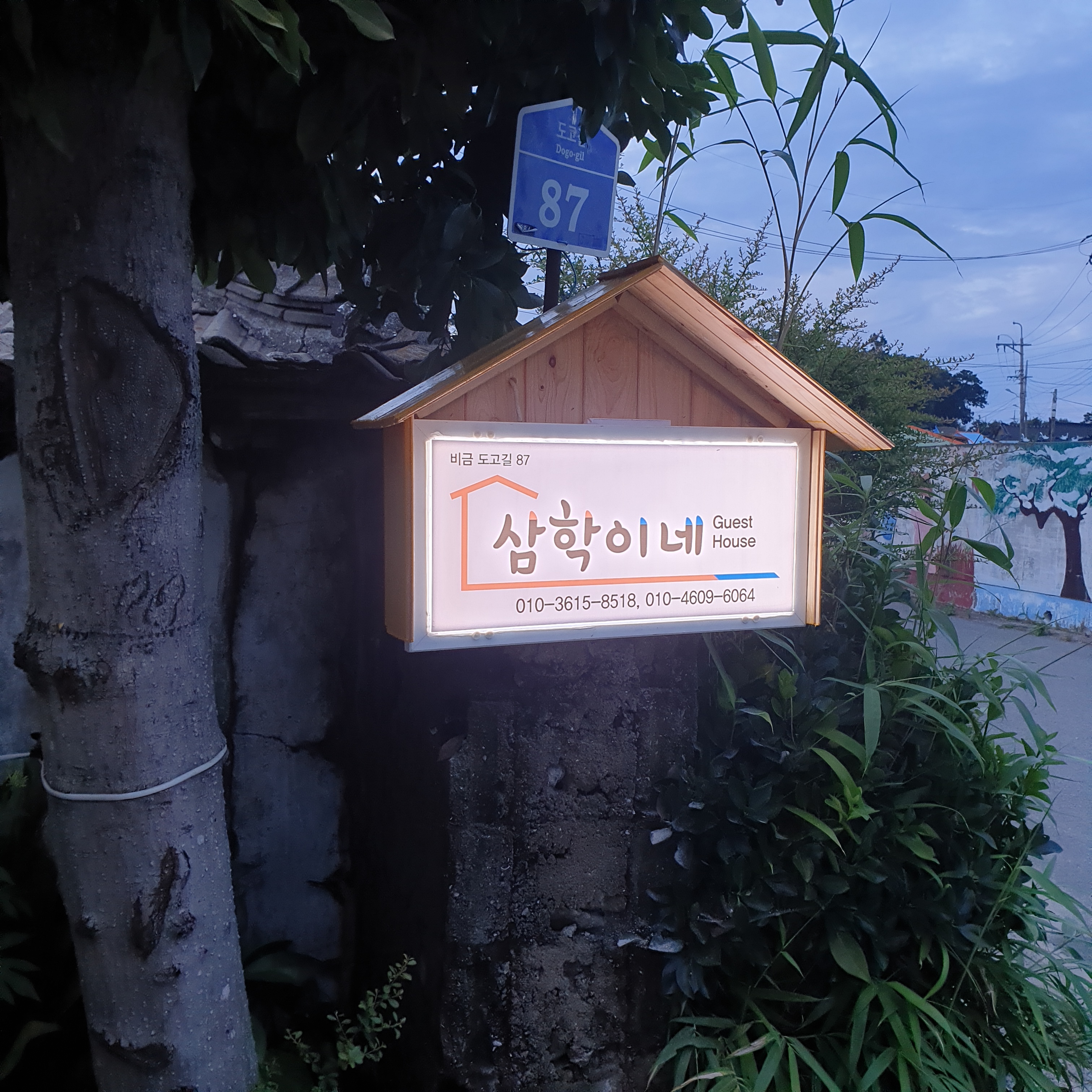 비금 삼학이네 민박