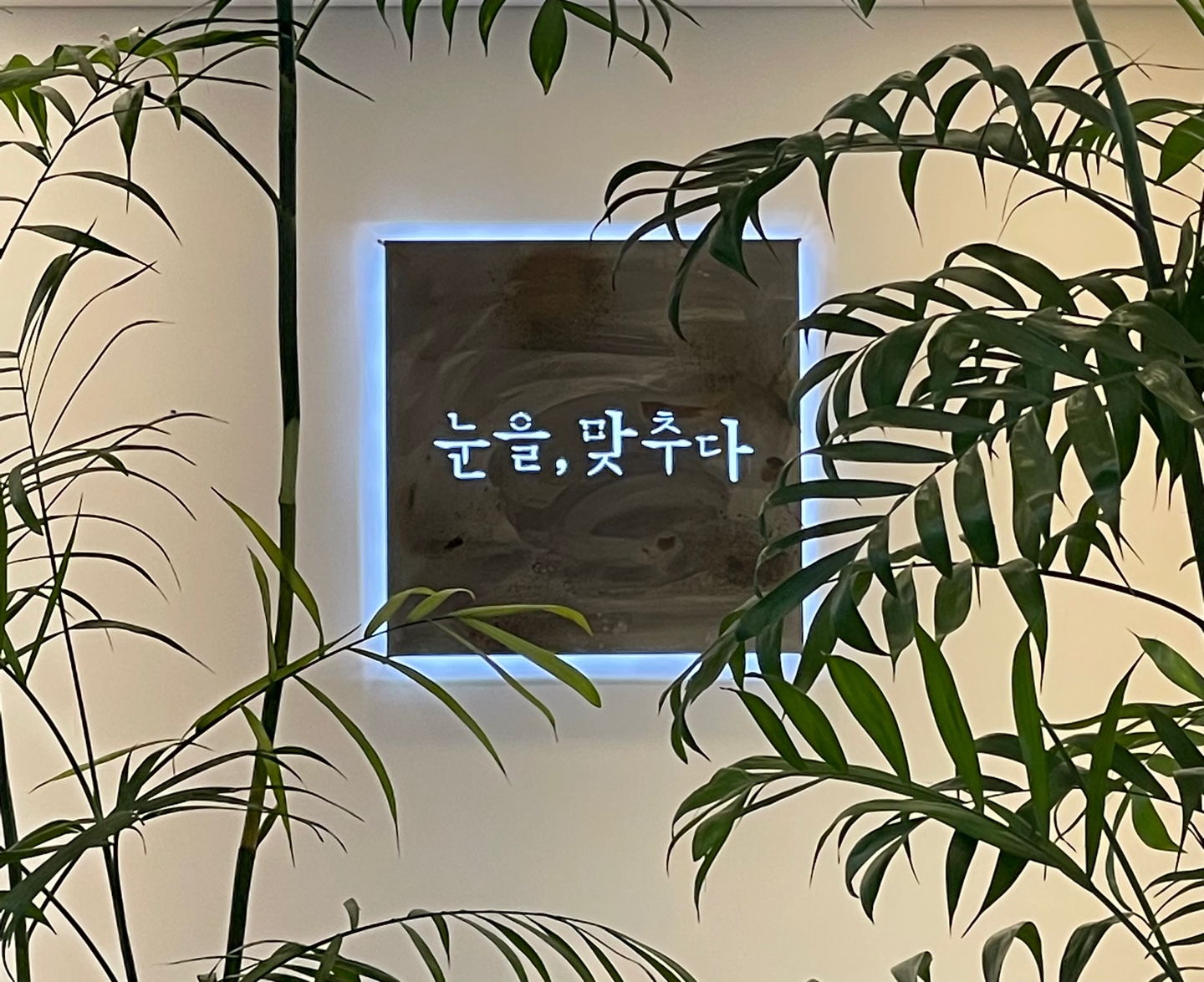 눈을맞추다 서귀포신시가지점 대표 이미지