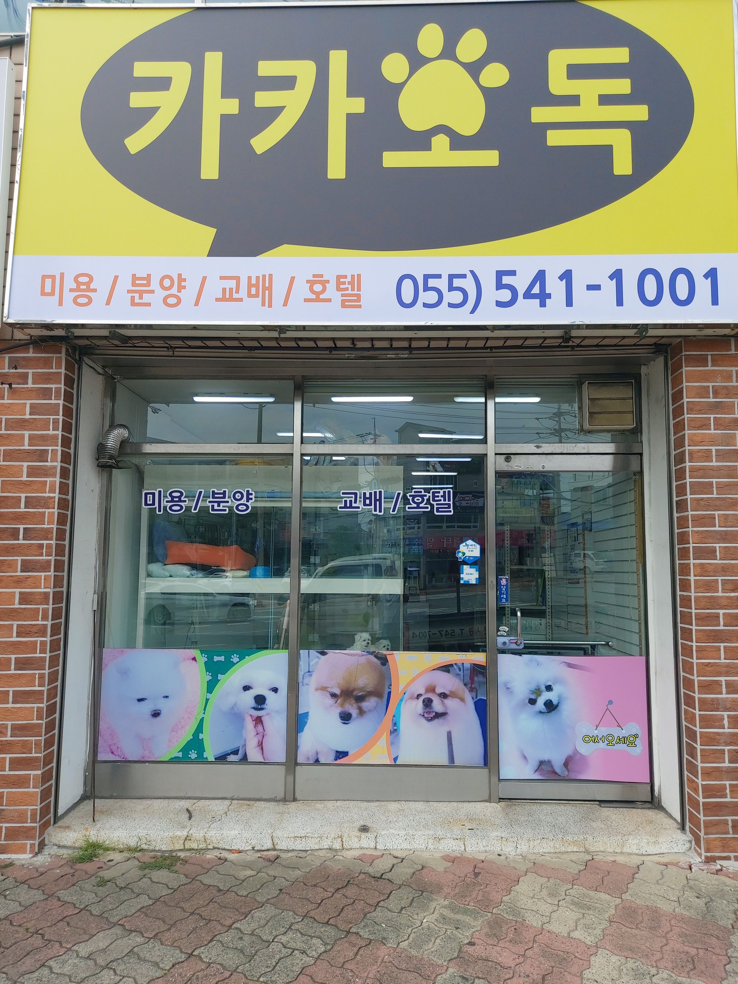 카카오독 대표 이미지