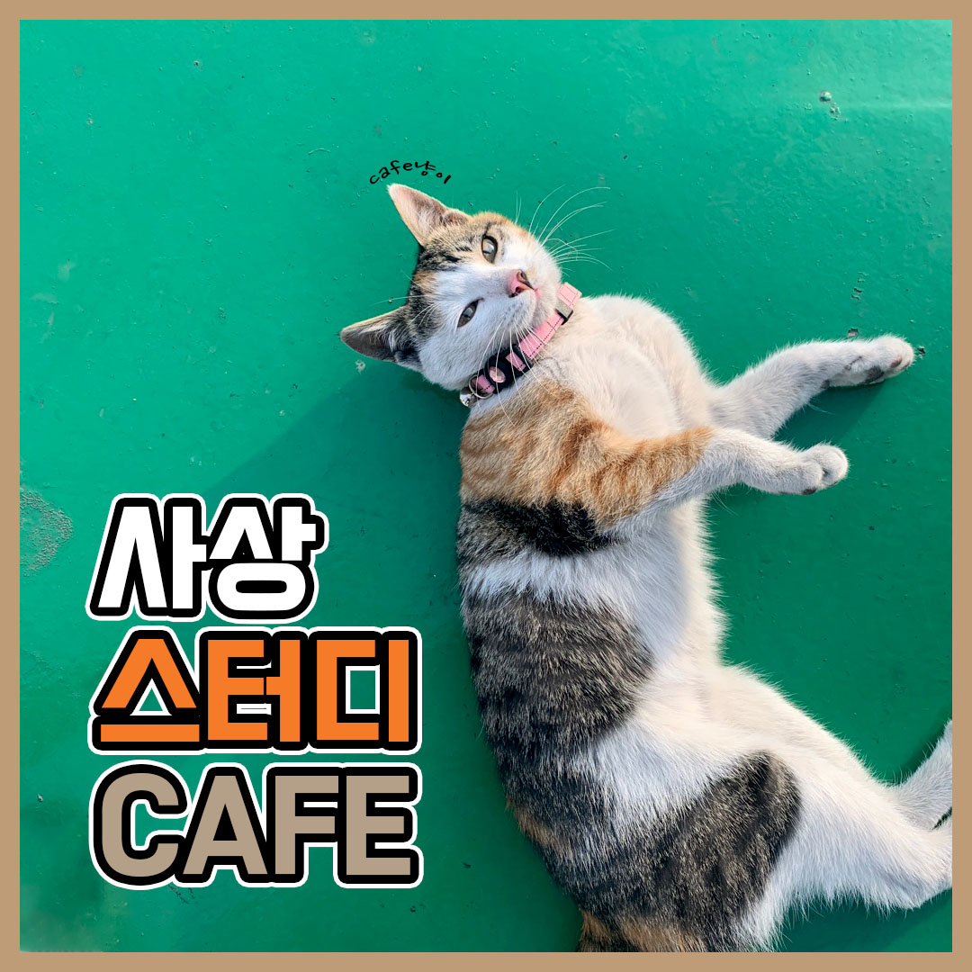 업체사진