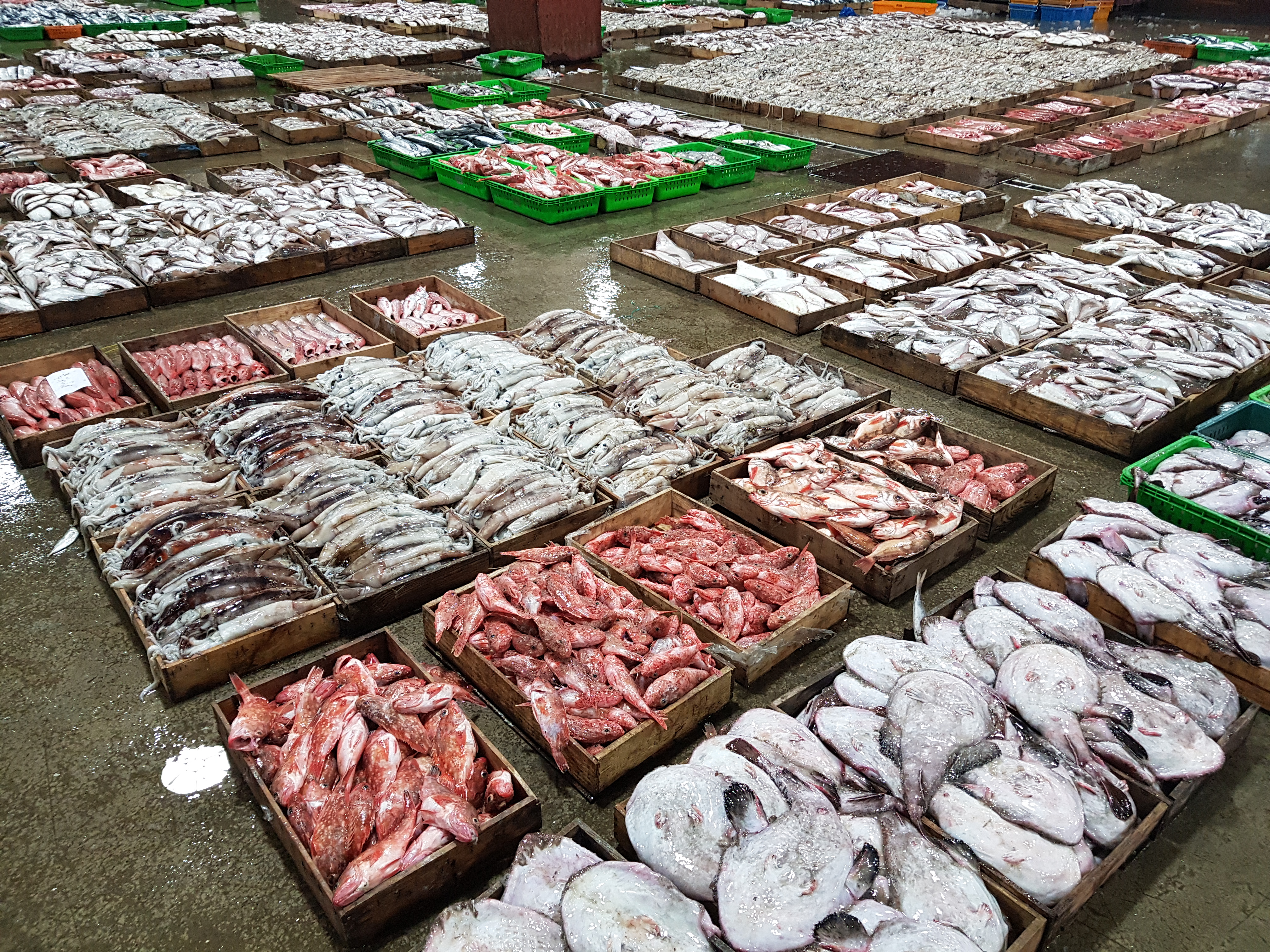 구구수산