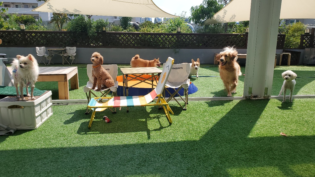 라운지독