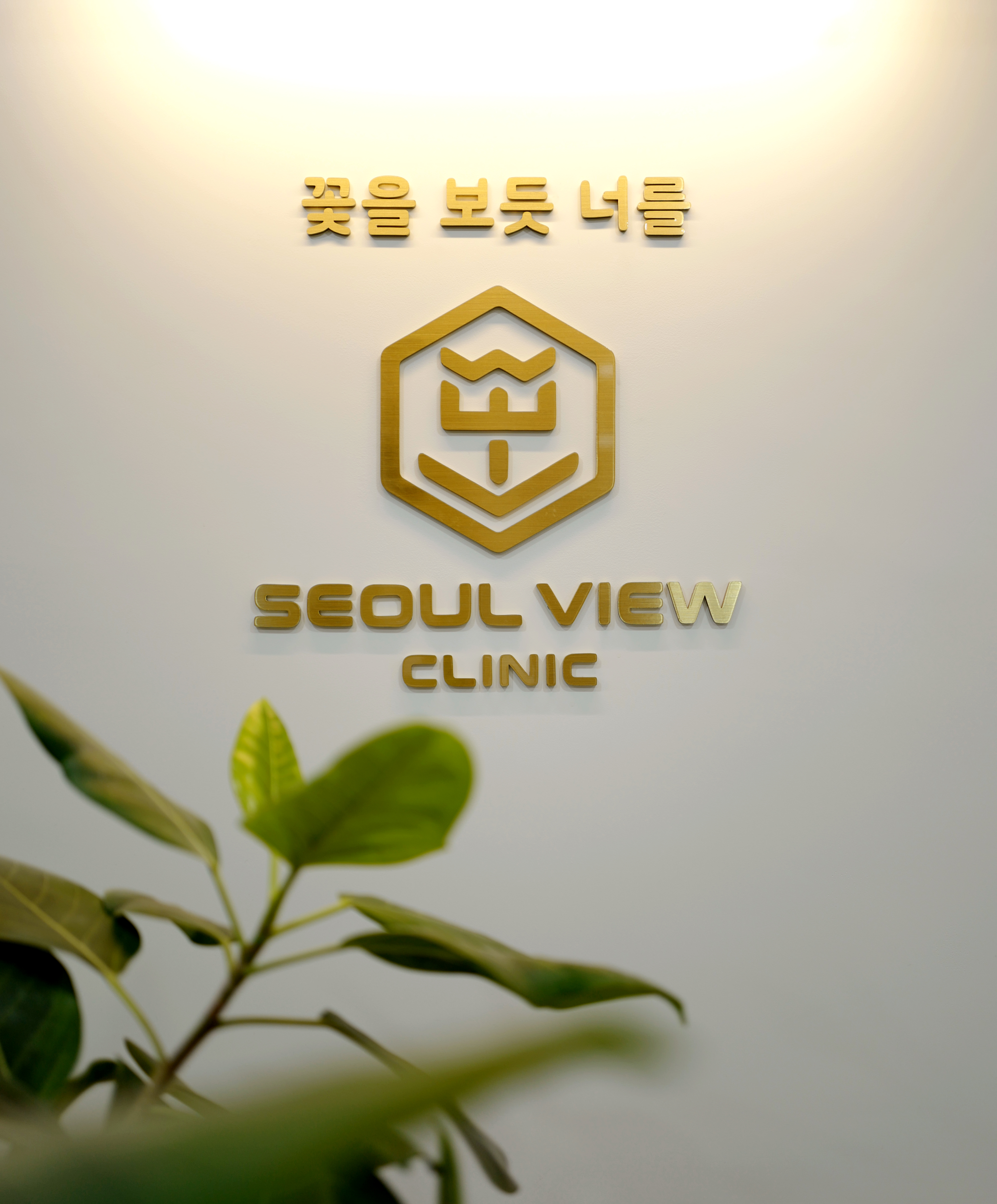 서울뷰의원 대전 대표 이미지