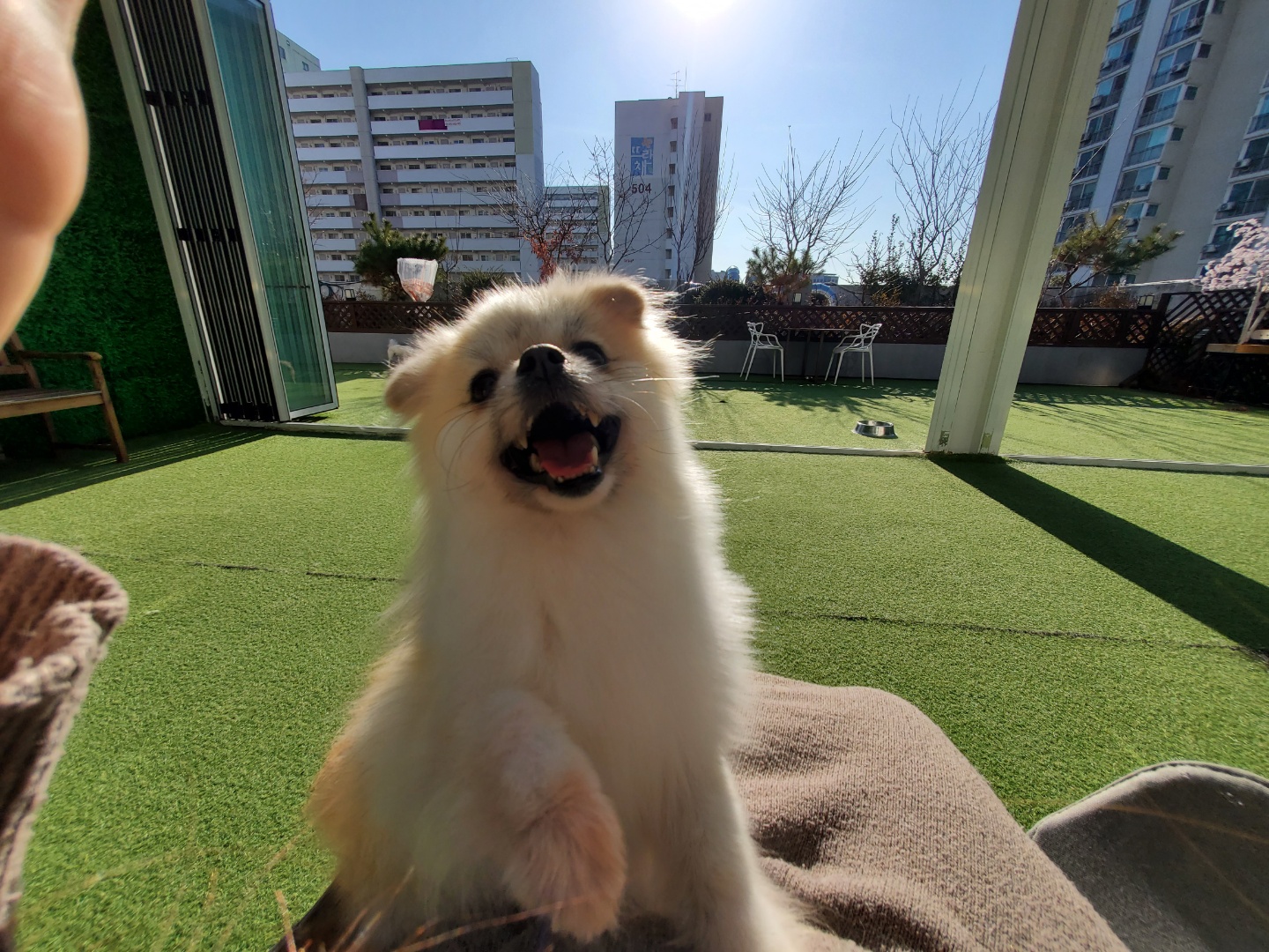 라운지독