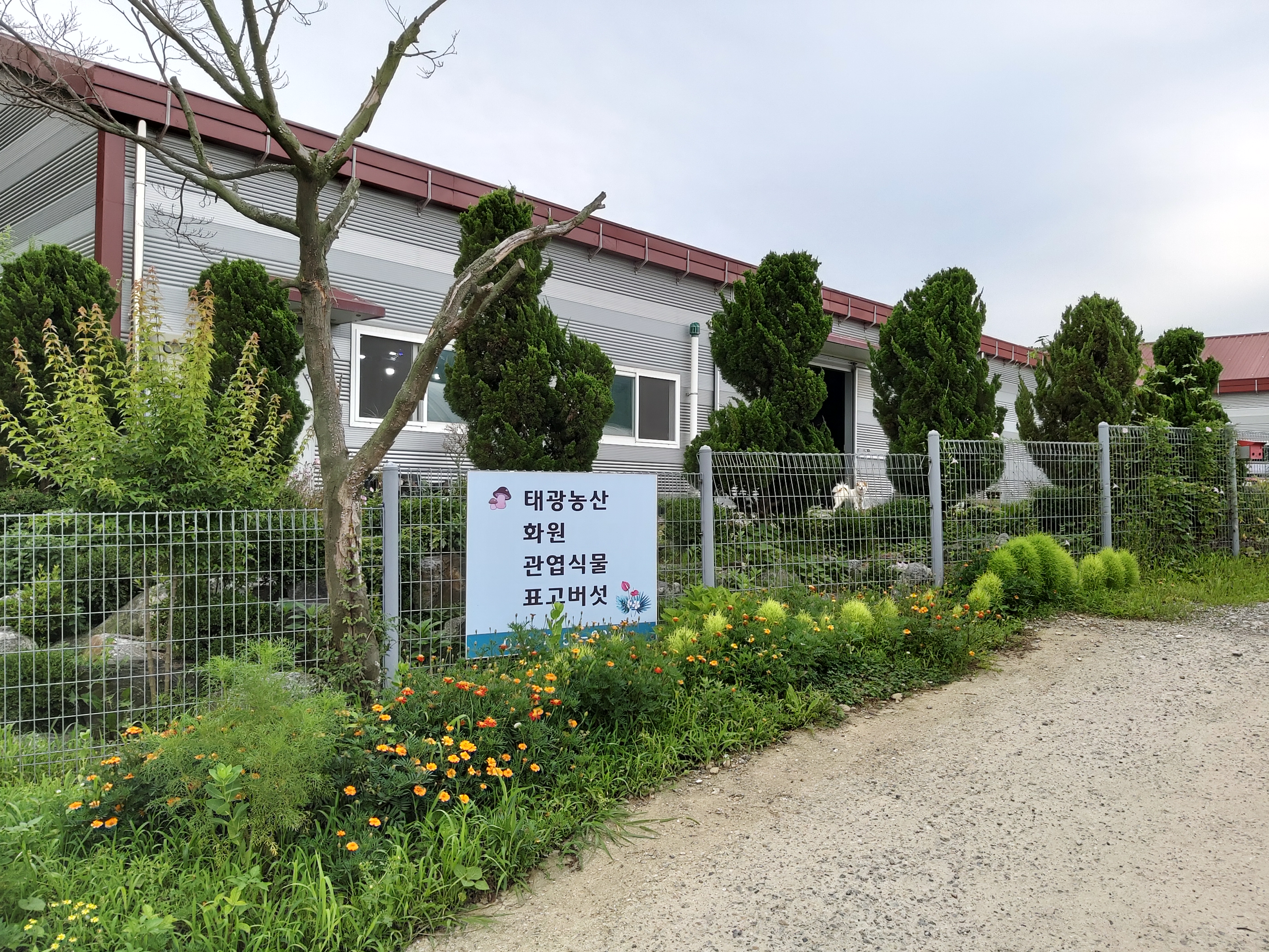 태광농산