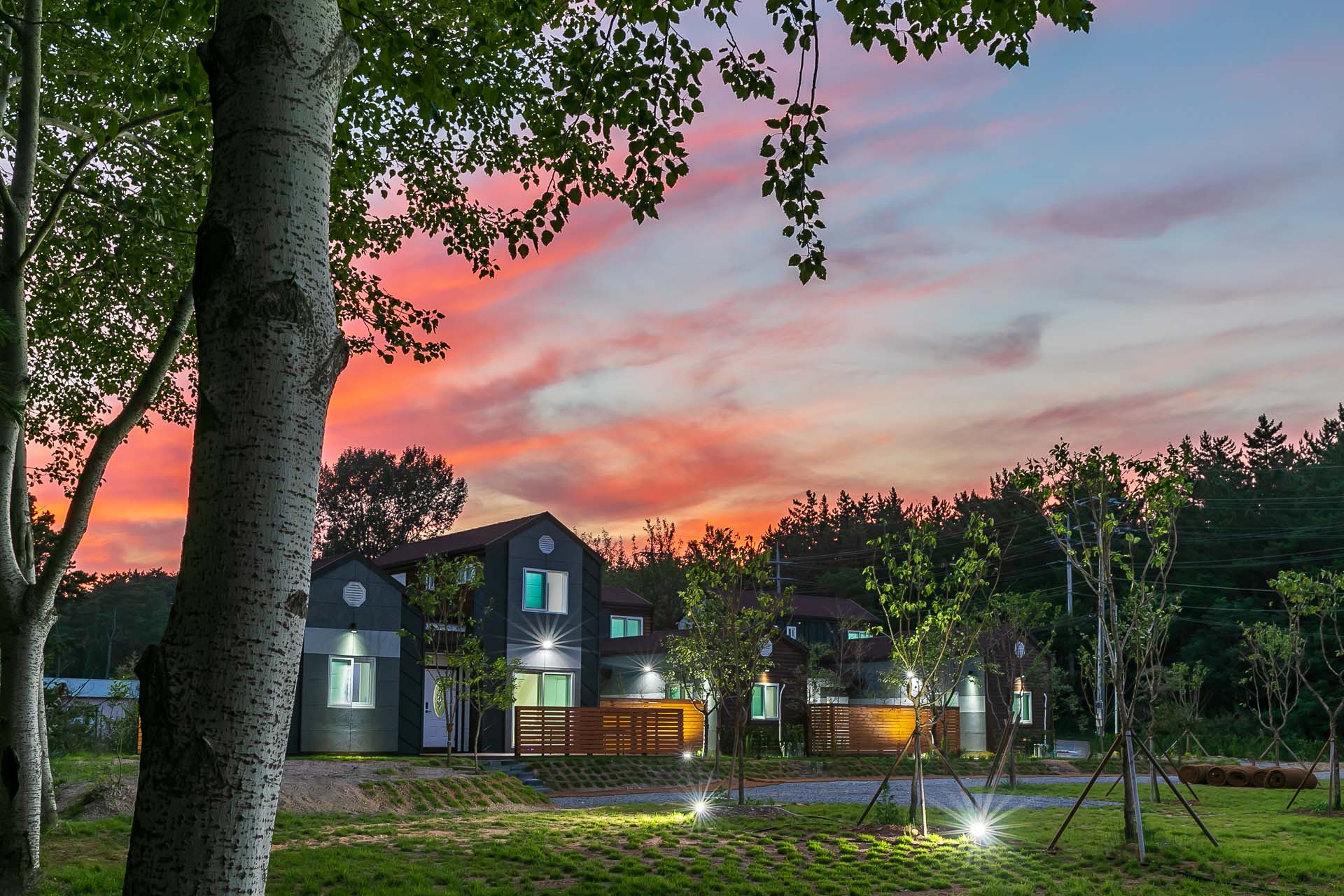 Little Forest Pension 대표 이미지