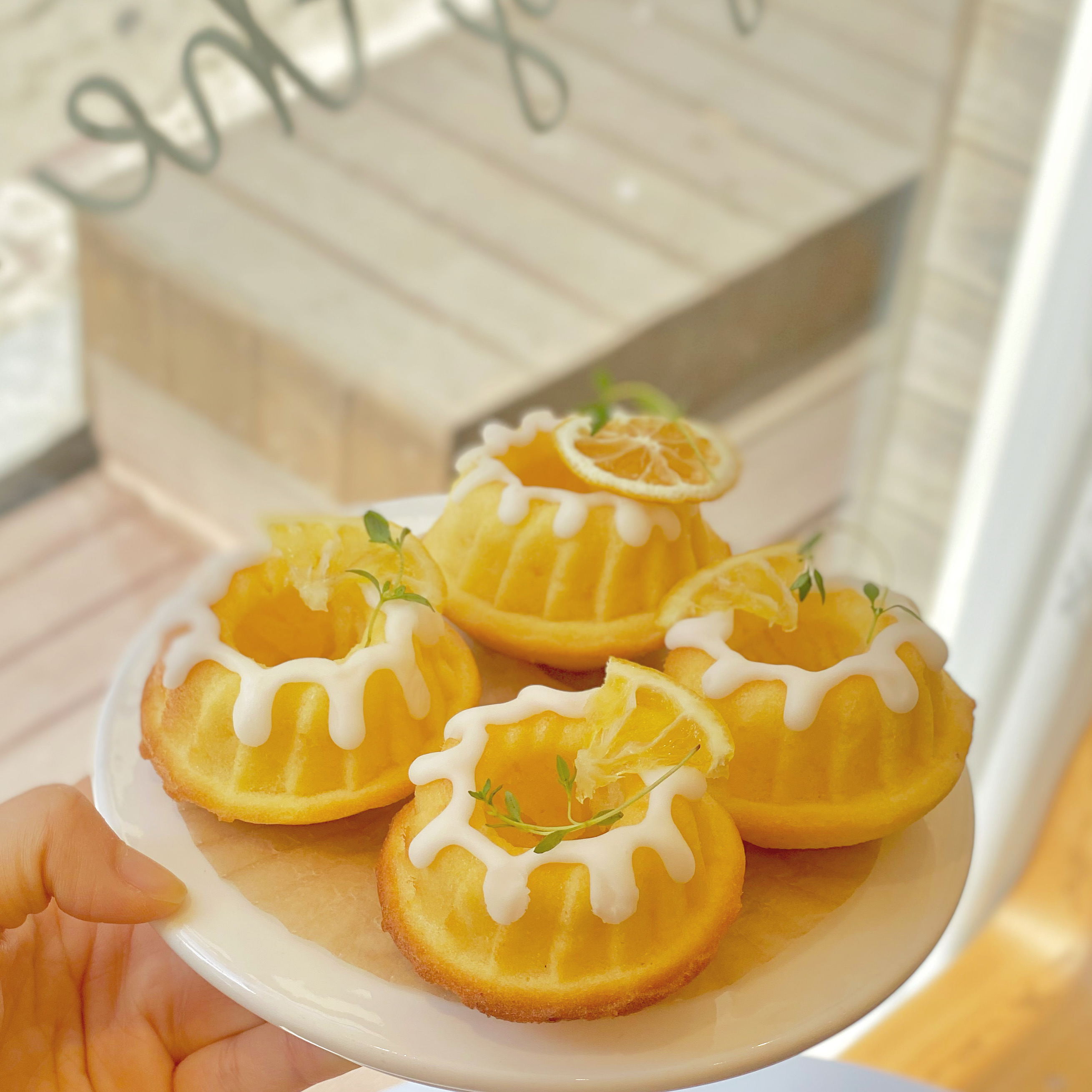 리를띵즈 경기 애견맛집