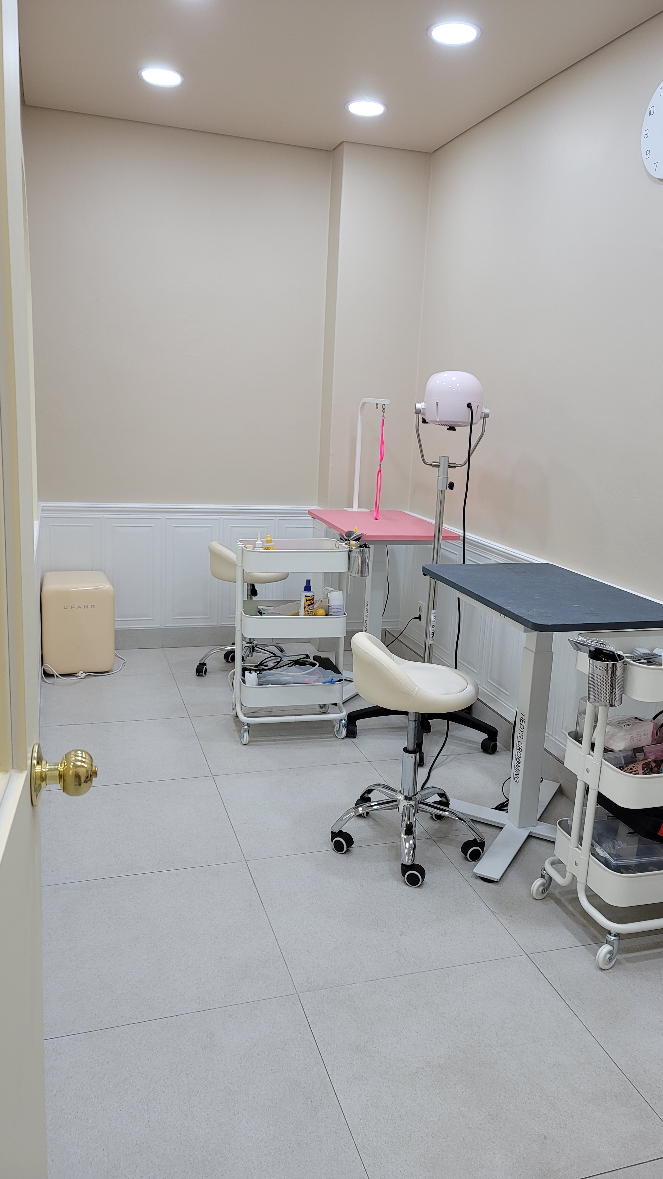 드로잉독 대표 이미지