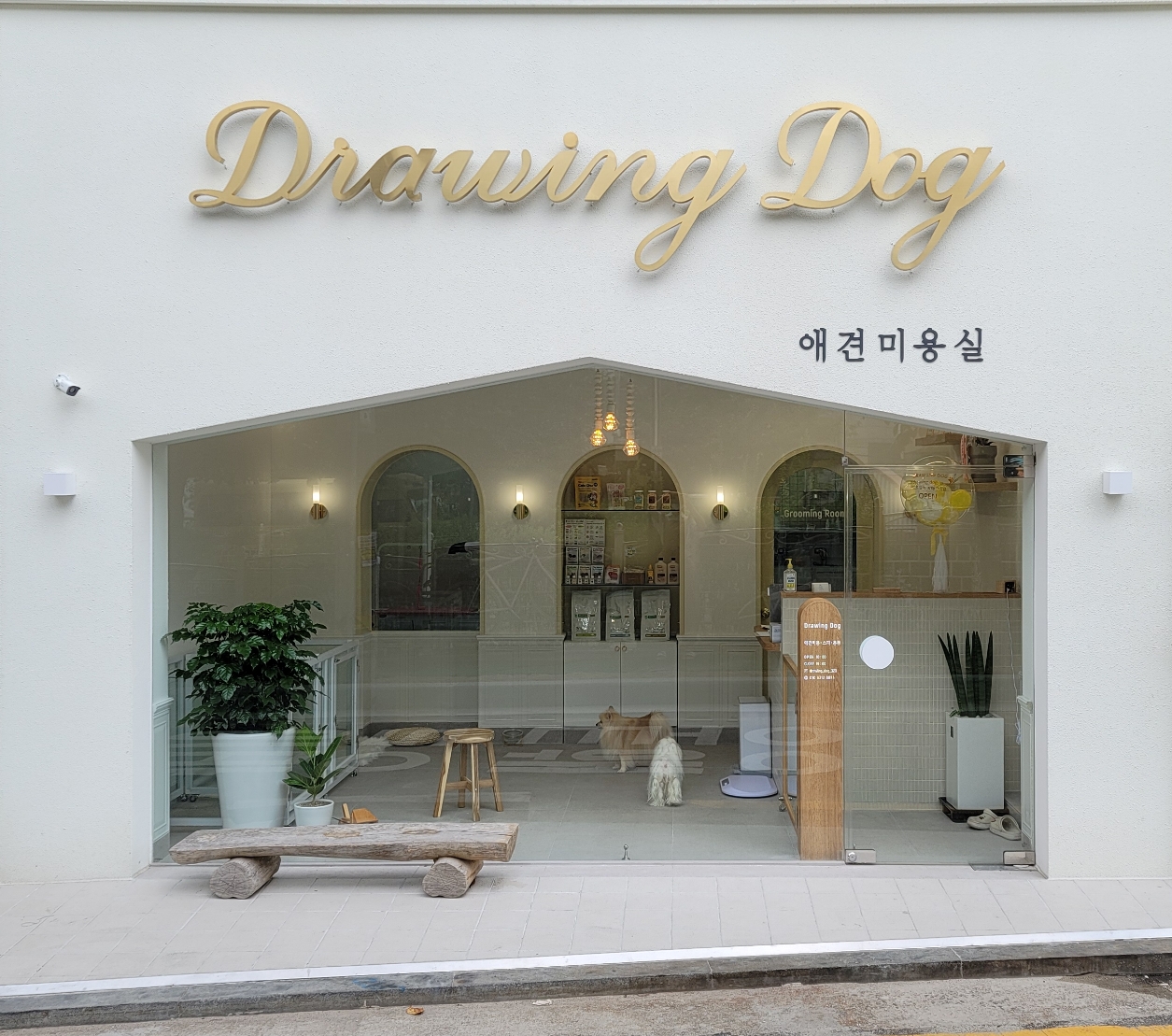 드로잉독 대표 이미지