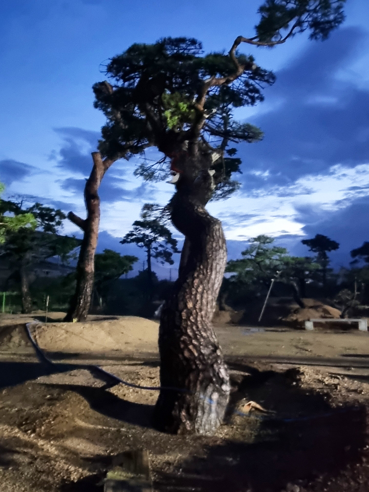 교동농원