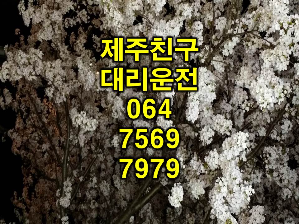제주친구 대리운전