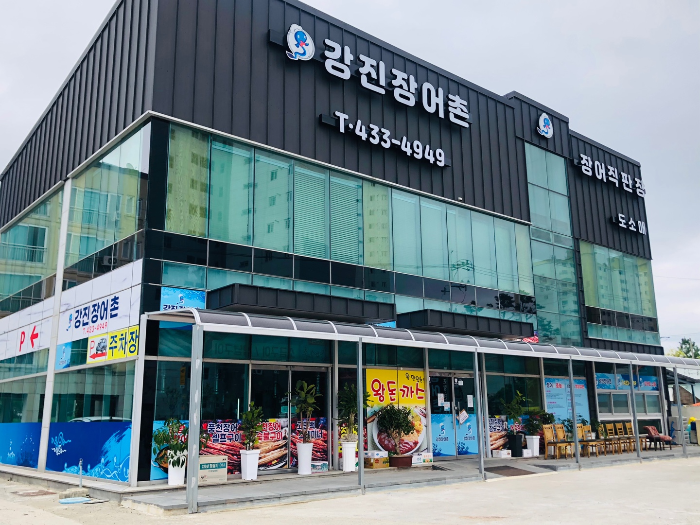 강진장어촌