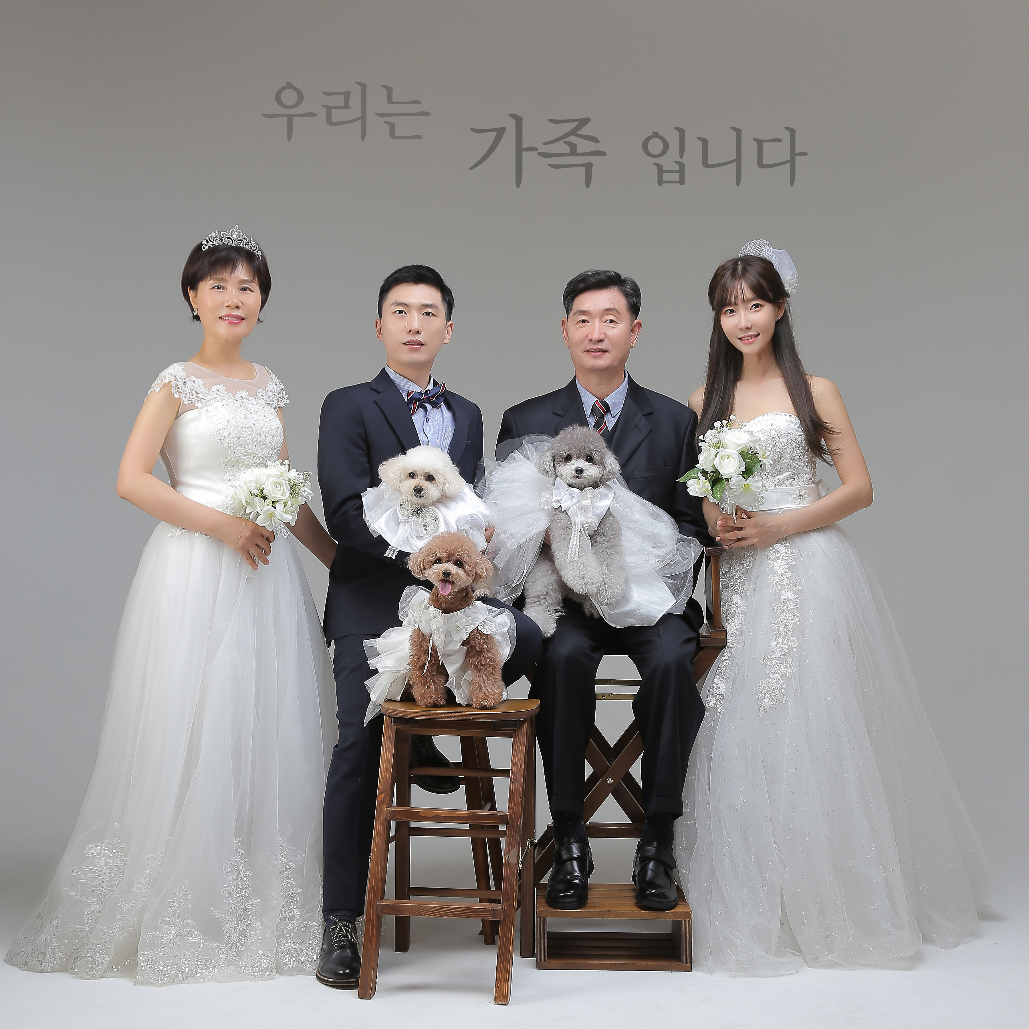 감동사진관