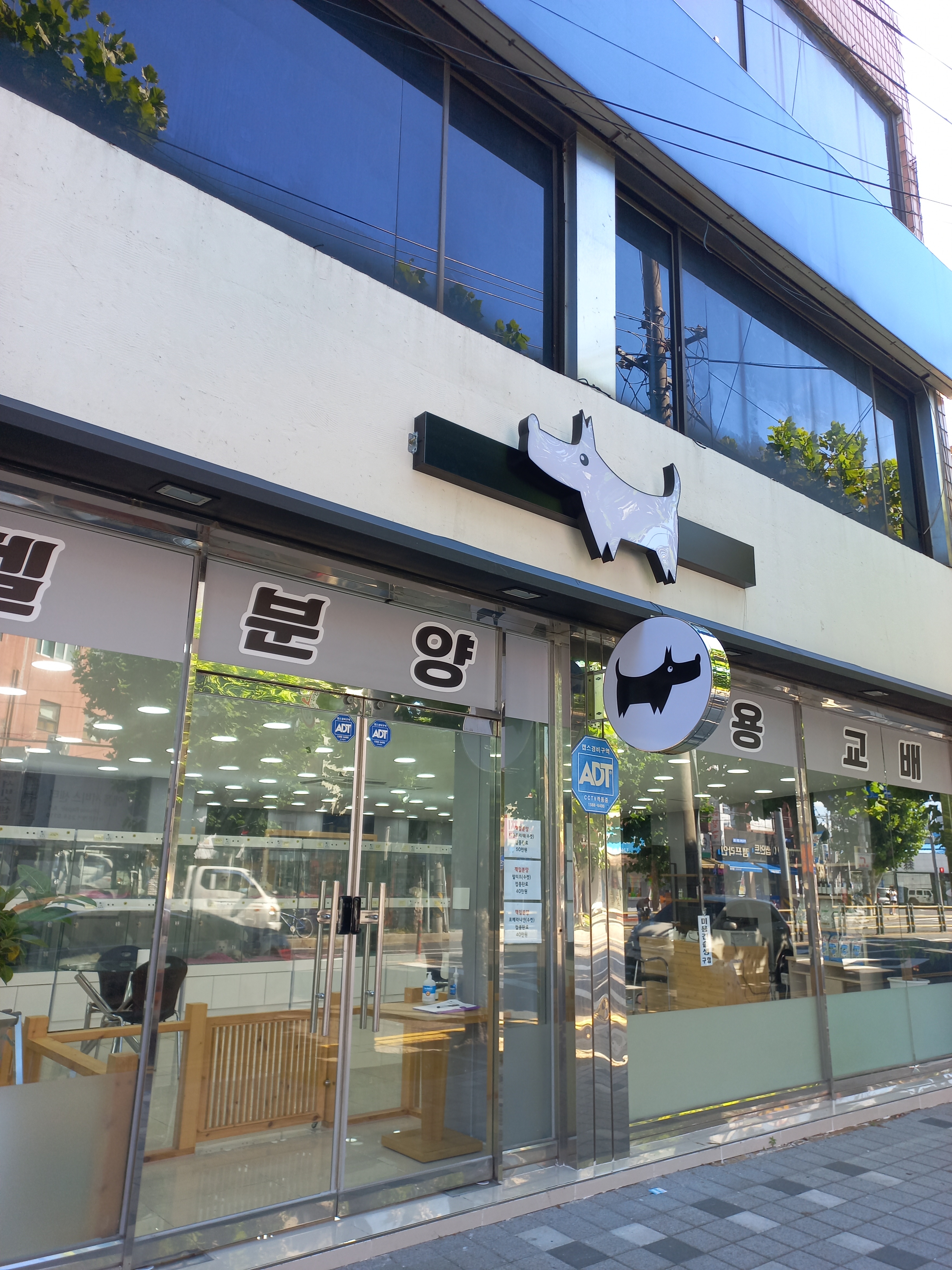 닥터펫