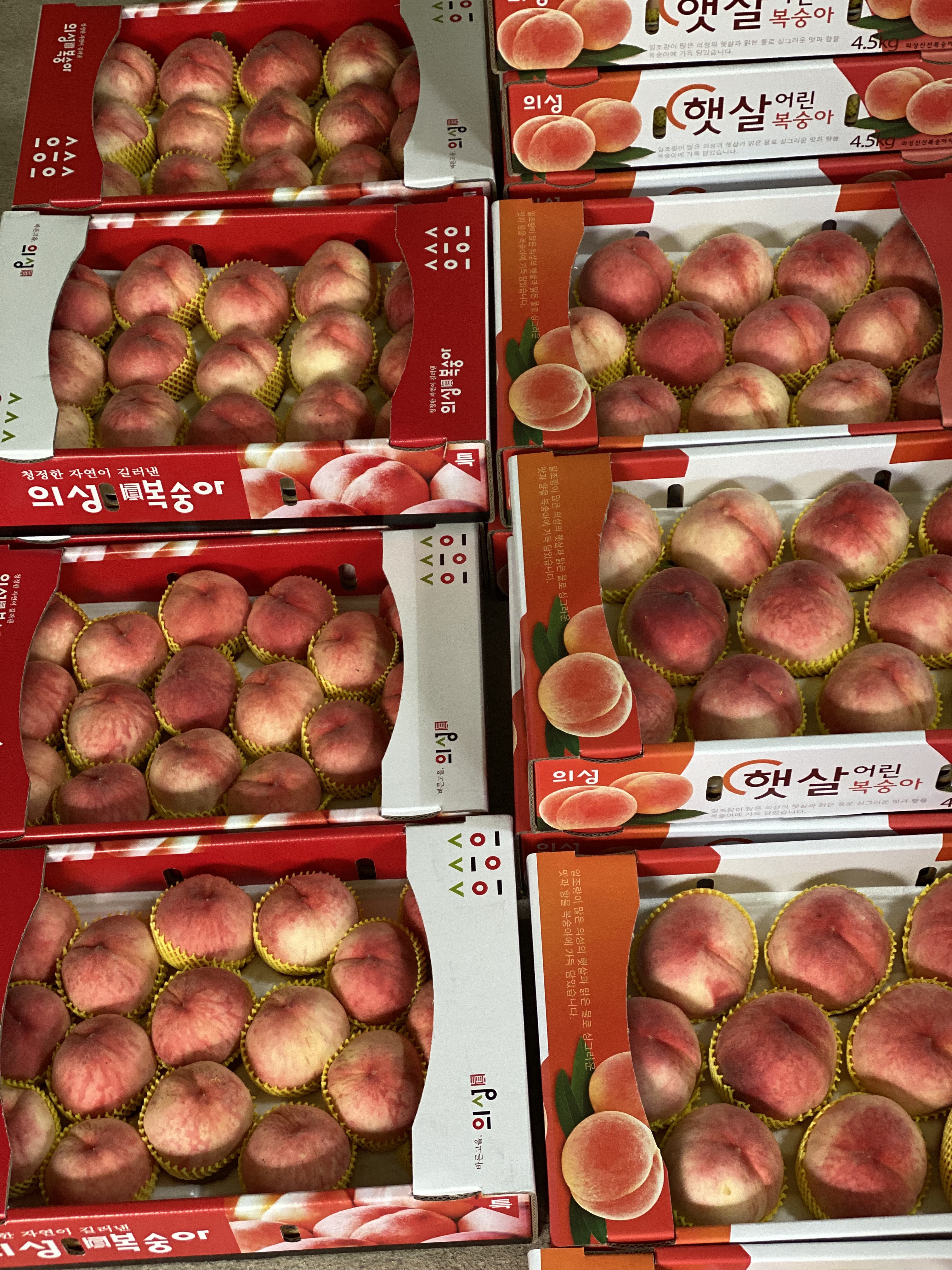달콤청과