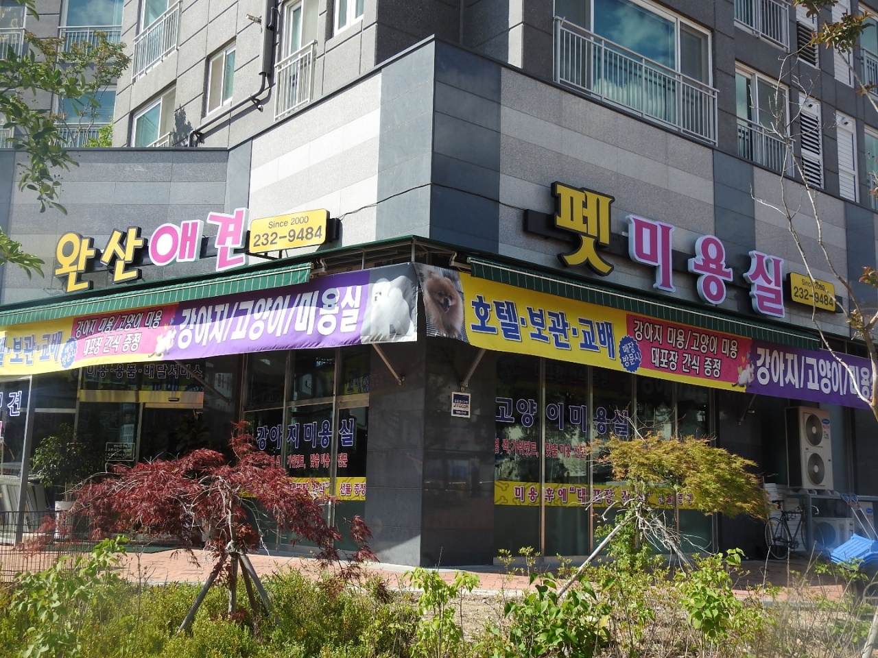 완산애견펫미용실