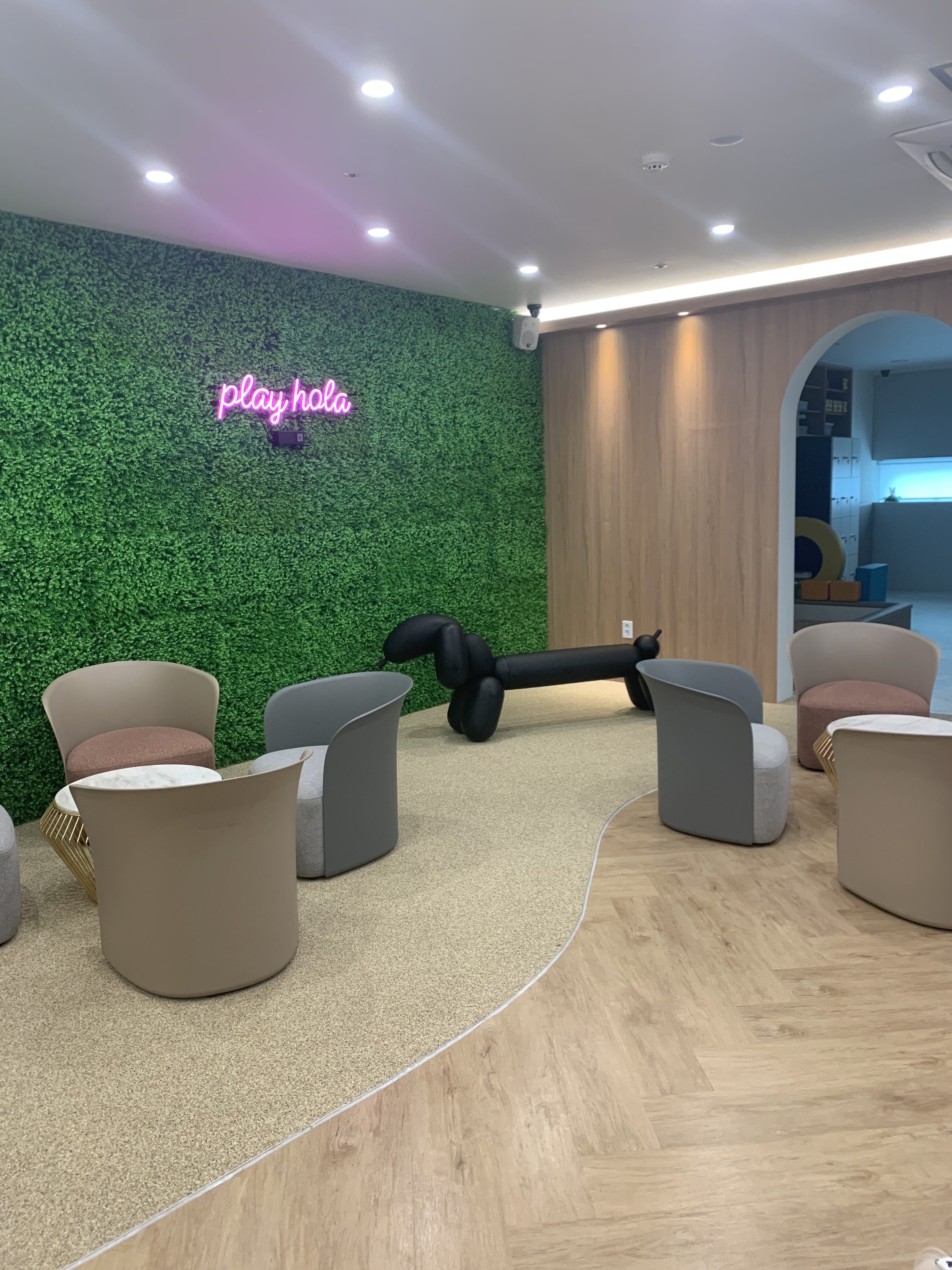 플레이올라 대표 이미지